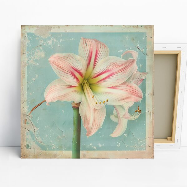 Amaryllis Art