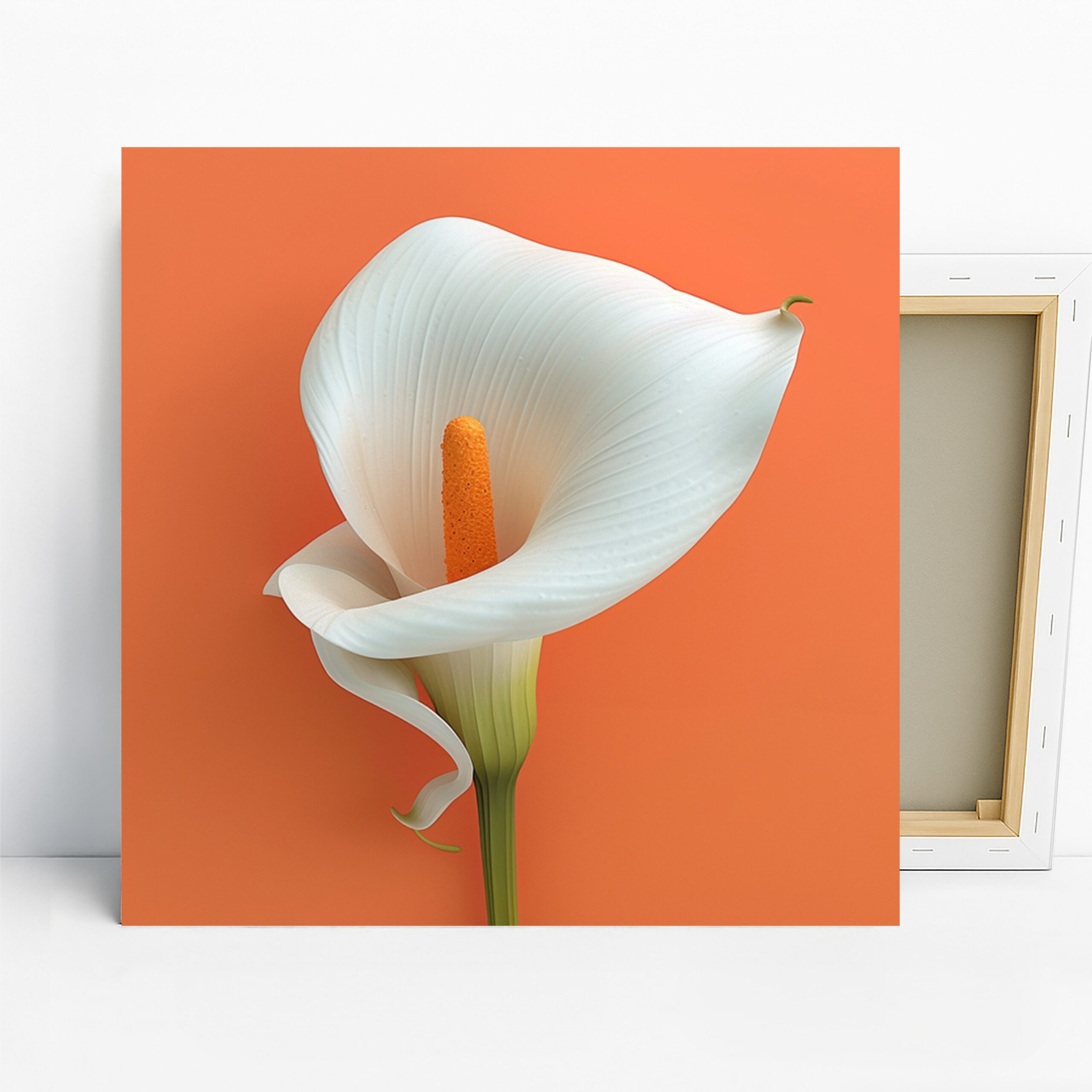1.jpg Calla Lily Art