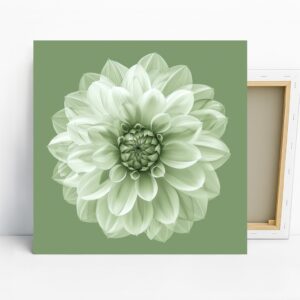 Dahlia Art