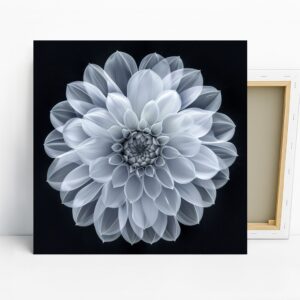 Dahlia Art