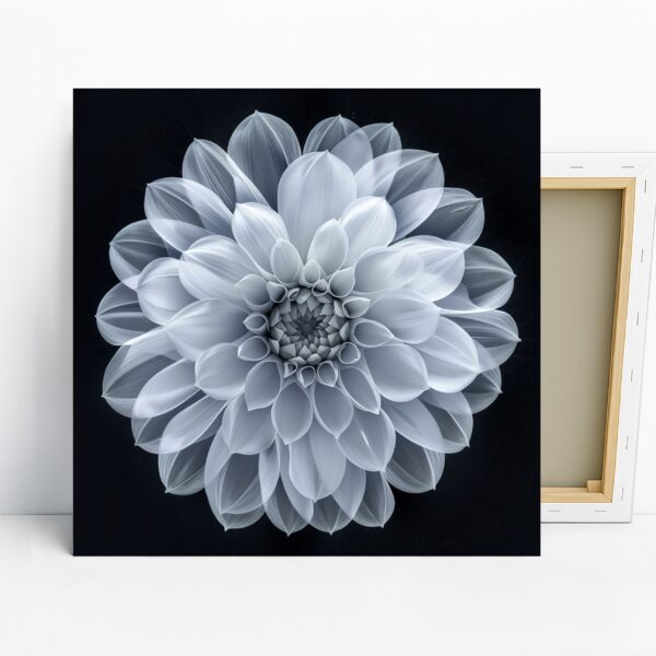 Dahlia Art