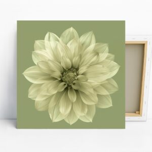 Dahlia Bloom Art