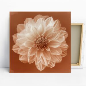 Dahlia Bloom Art Poster or Canvas