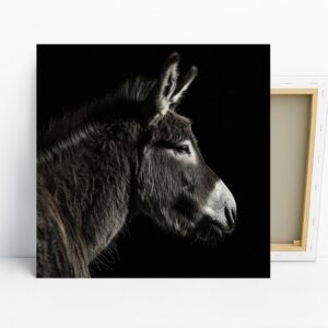 Donkey Art