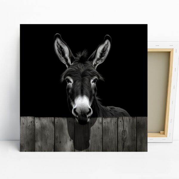 Donkey Art