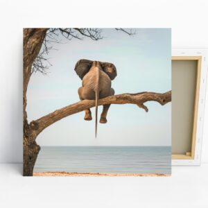 Elephant Tree Beach Scene Art