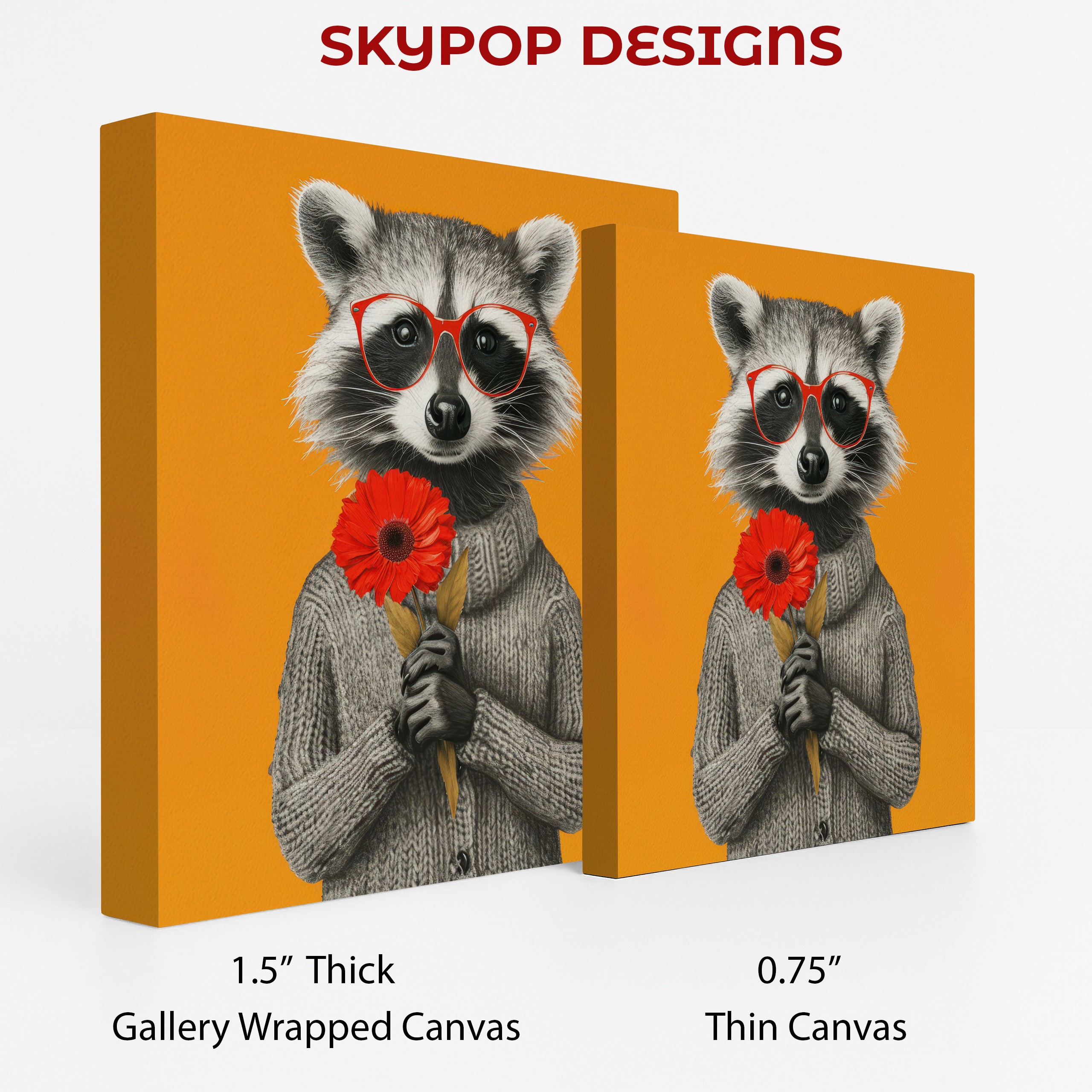 2.jpg Raccoon Art