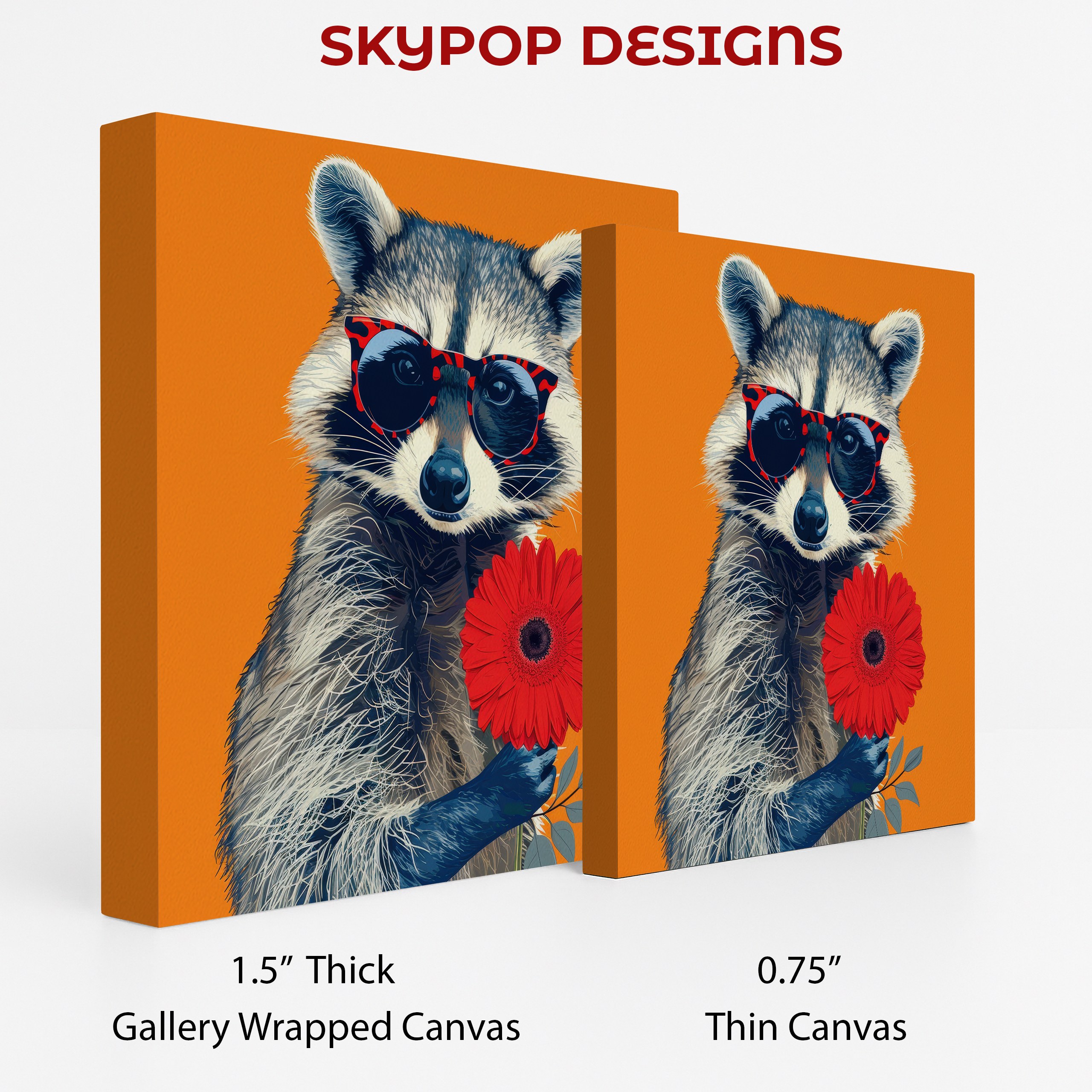 2.jpg Raccoon Art