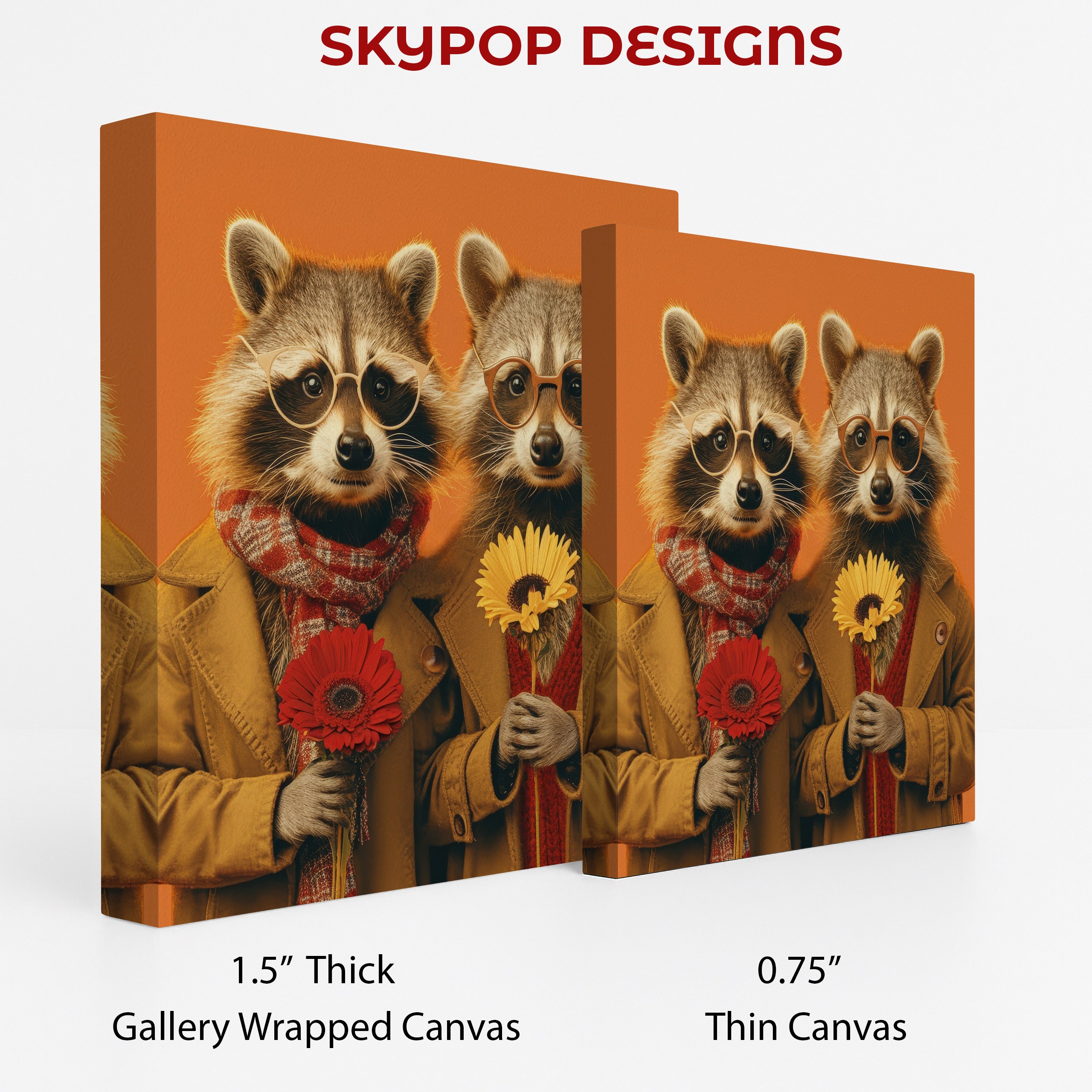 2.jpg Raccoon Art