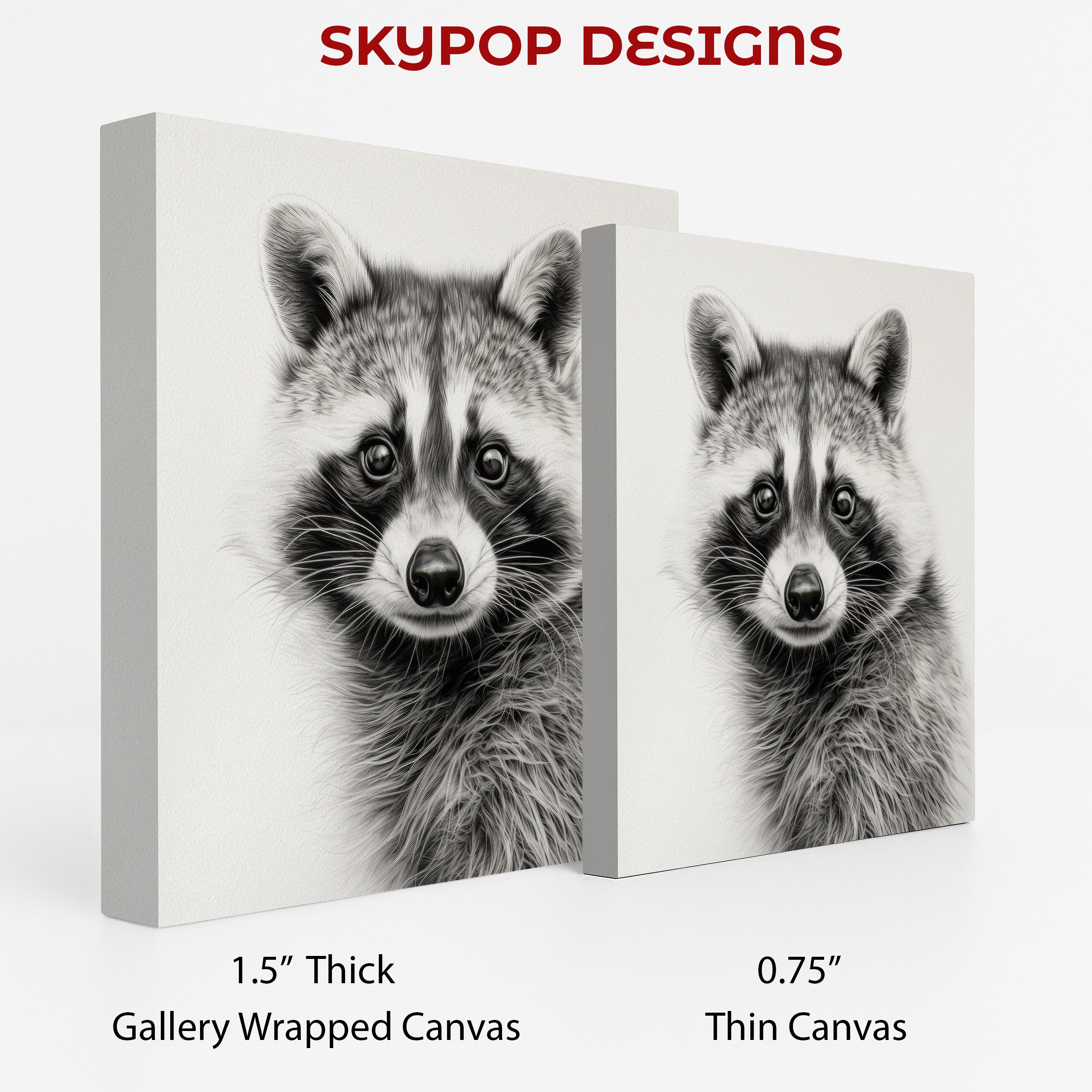 2.jpg Raccoon Art