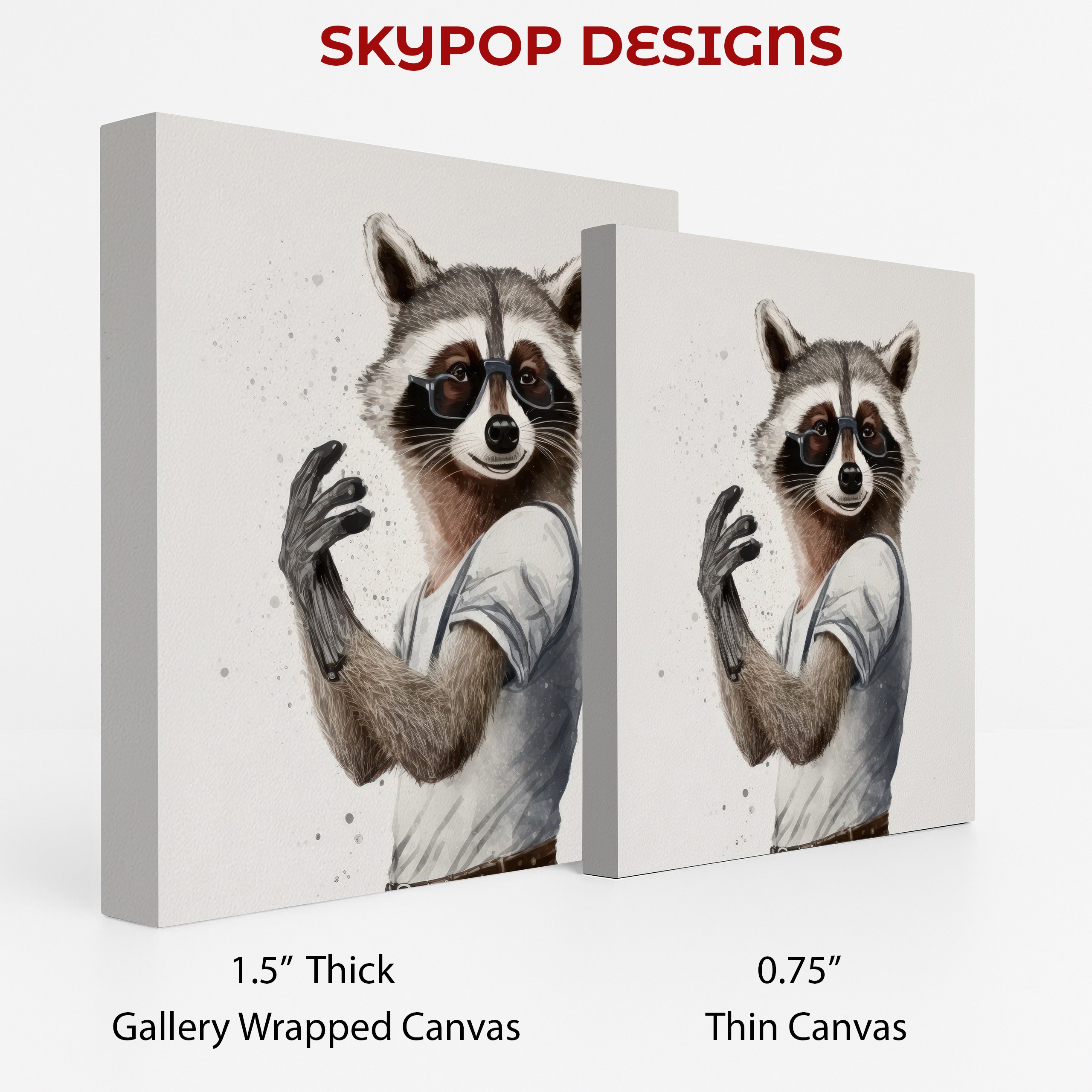 2.jpg Raccoon Art