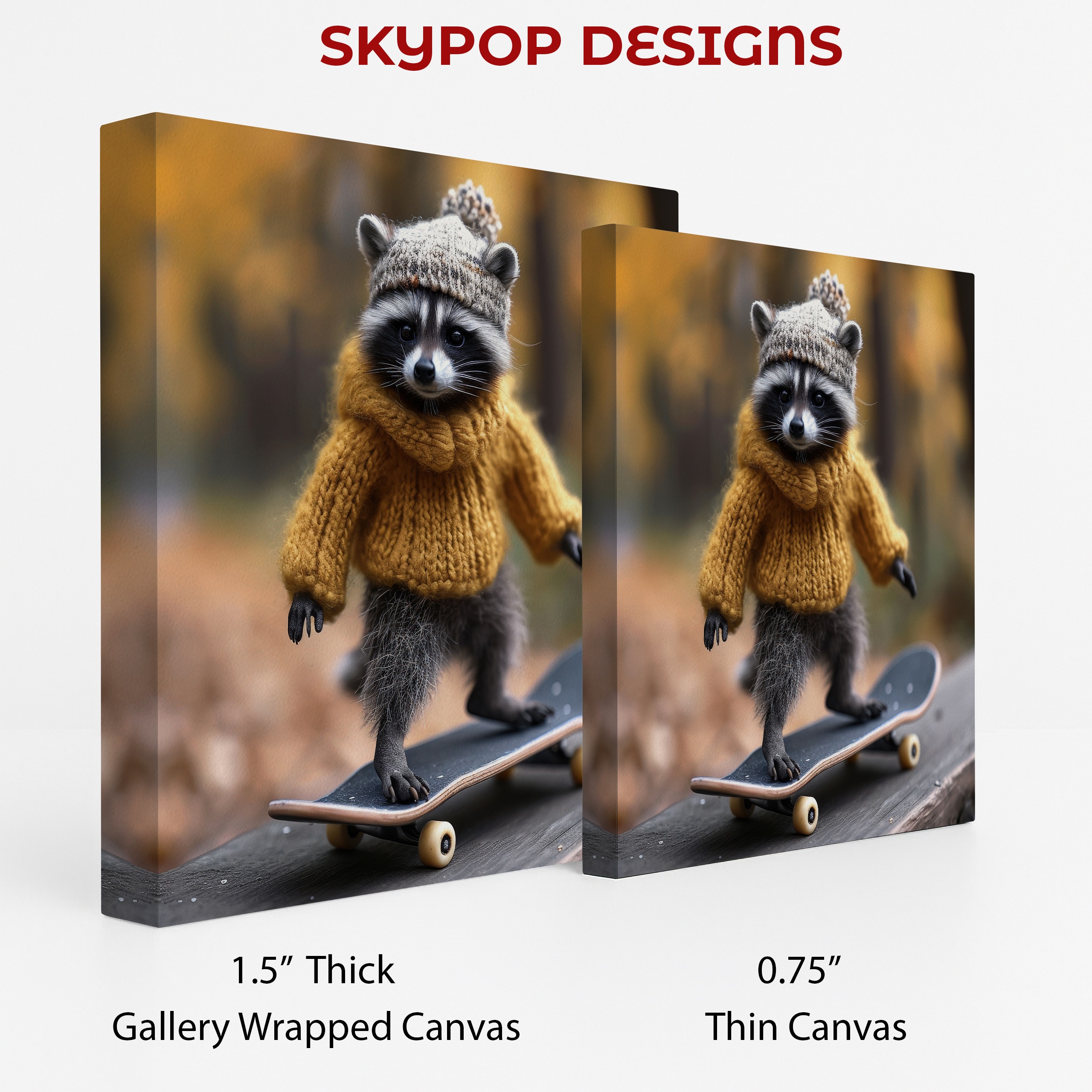 2.jpg Raccoon Skater Art