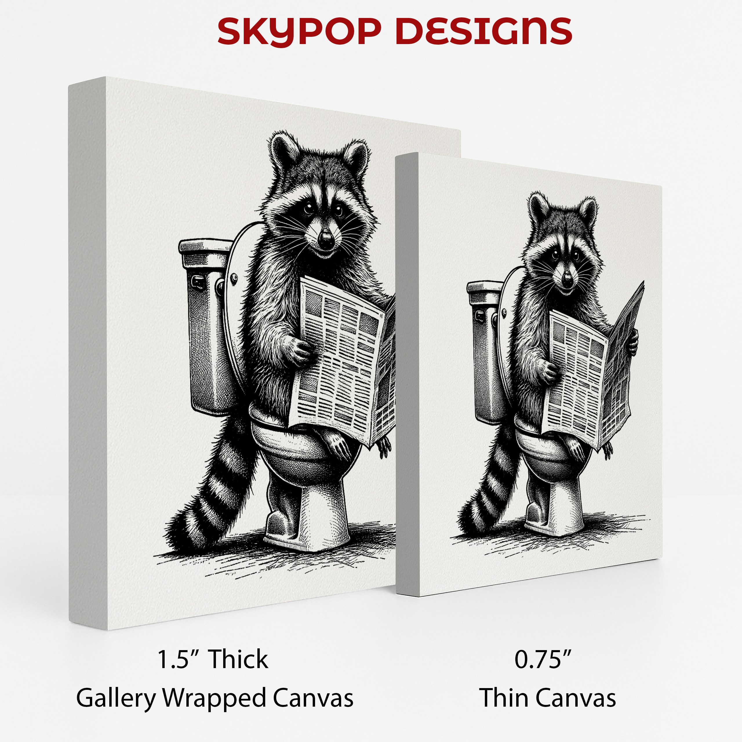 2.jpg Raccoon Art