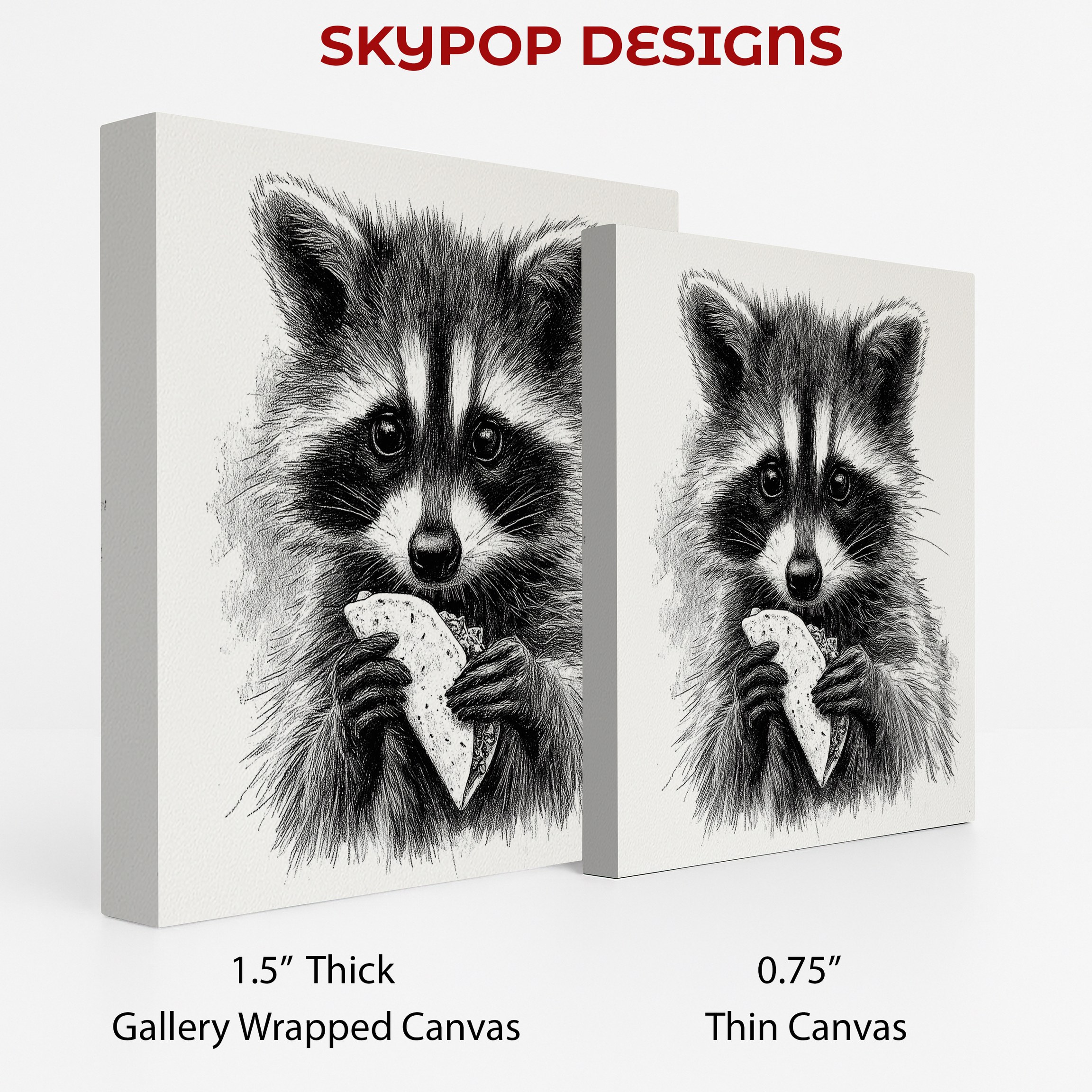 2.jpg Raccoon Art
