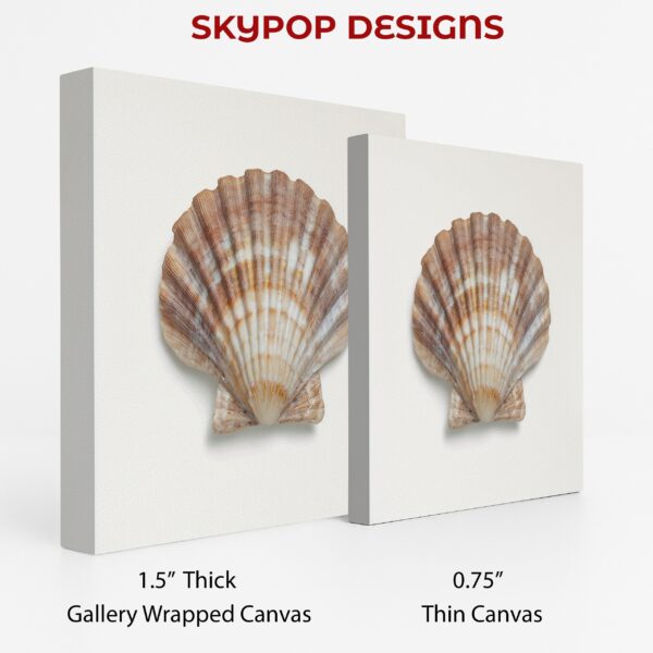 Seashell Art