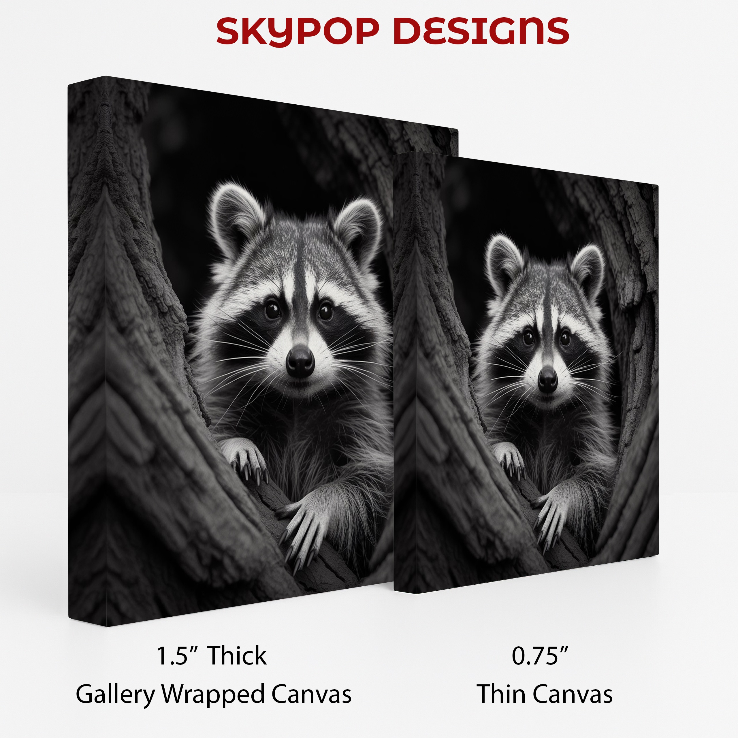 2.jpg Raccoon Art