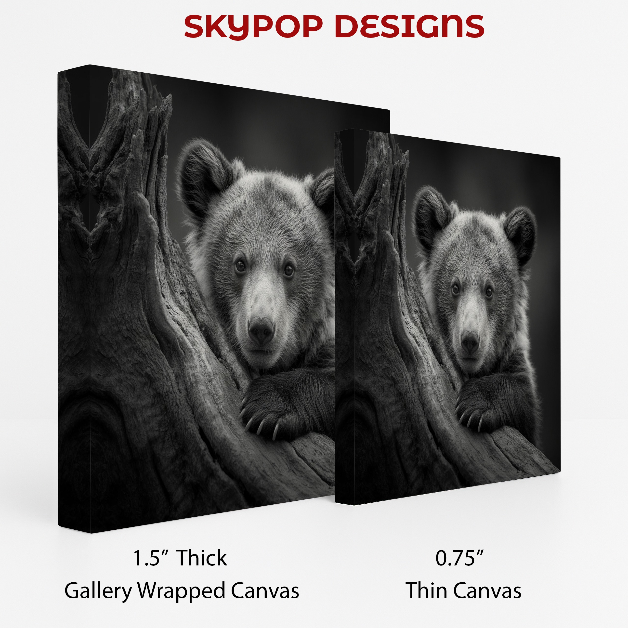 2.jpg Bear Cub Art