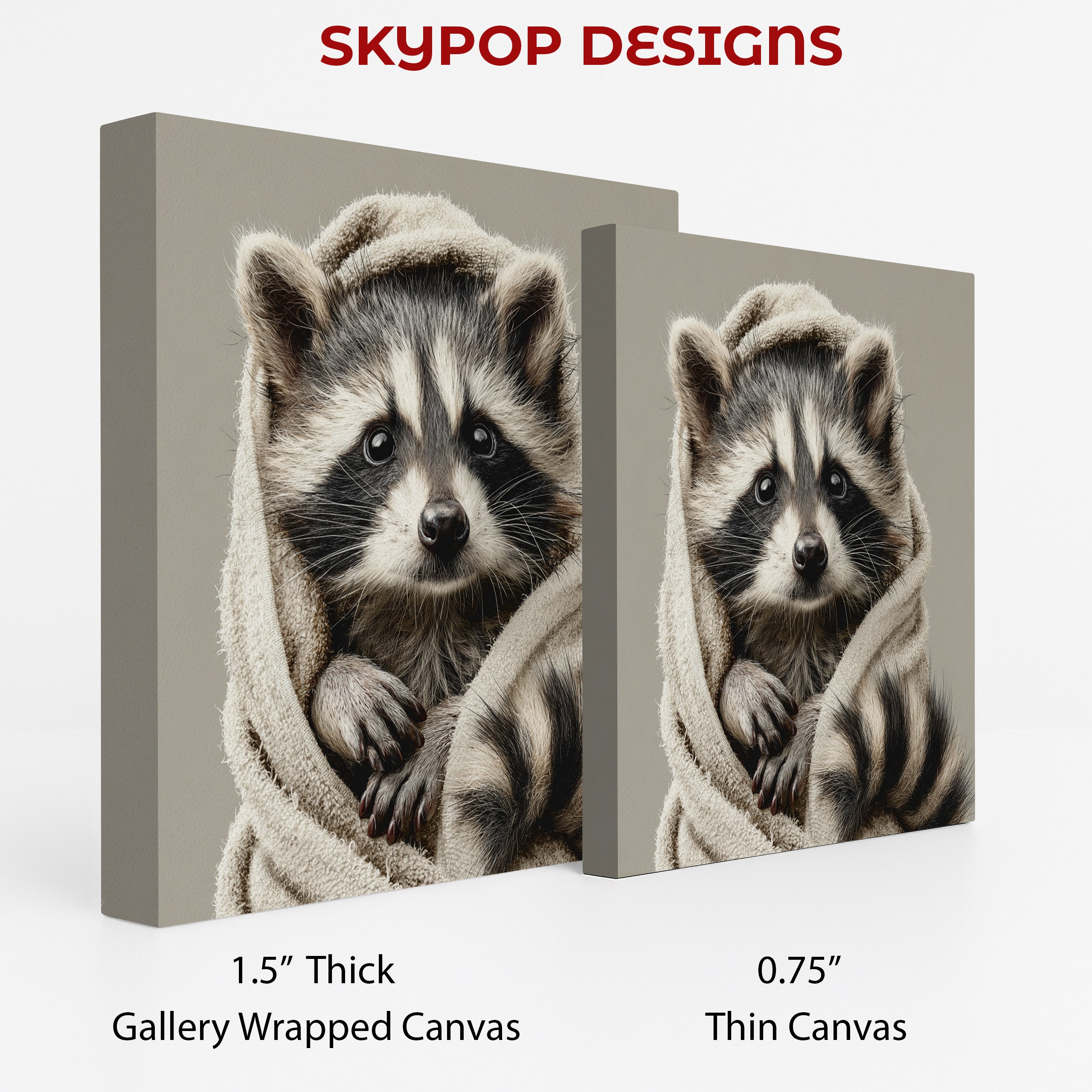 2.jpg Raccoon Art