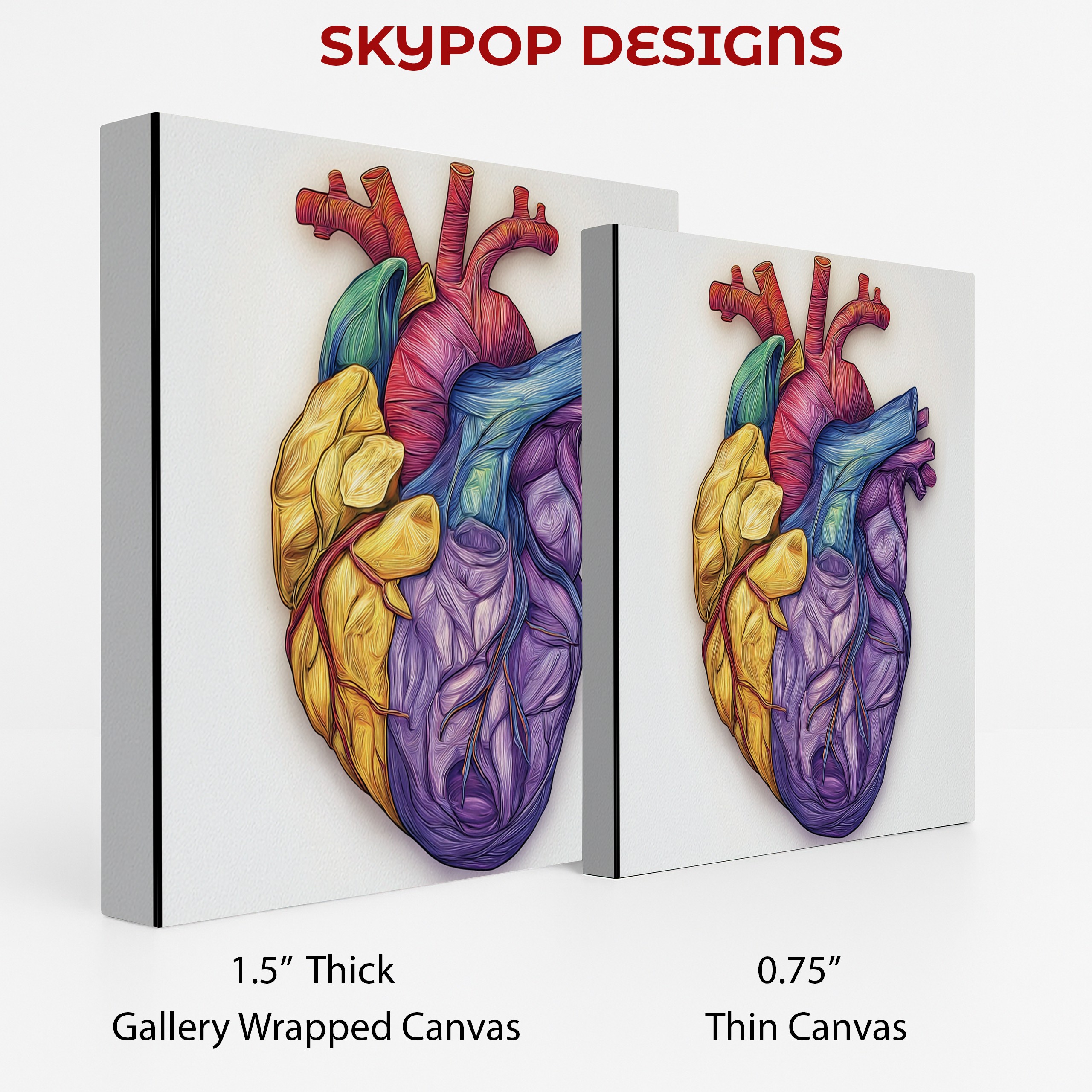 2.jpg Colorful Heart Anatomy Art