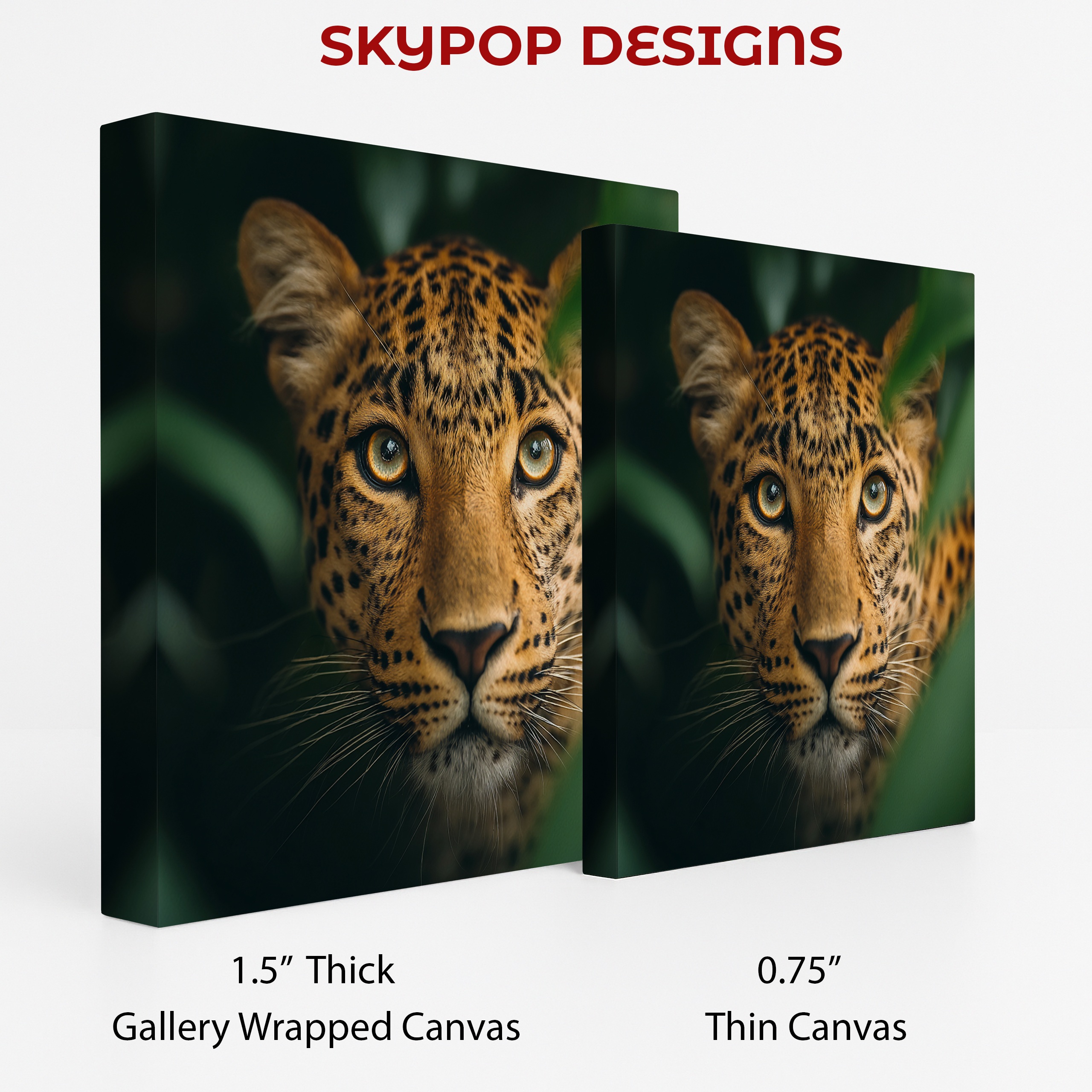 2.jpg Leopard Eyes Art