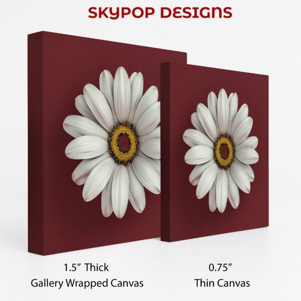 White Daisy Art
