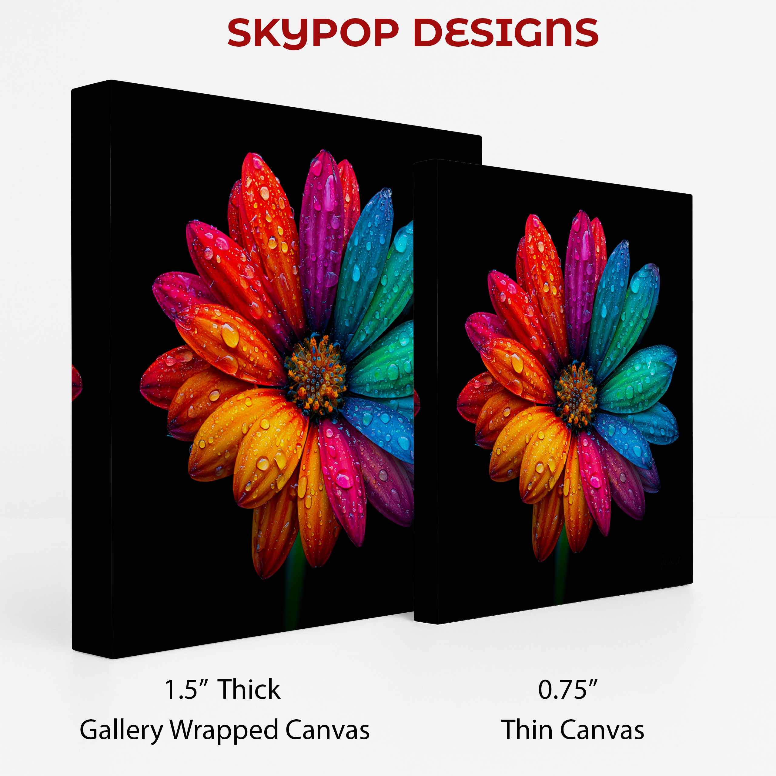 2.jpg Rainbow Daisy Art