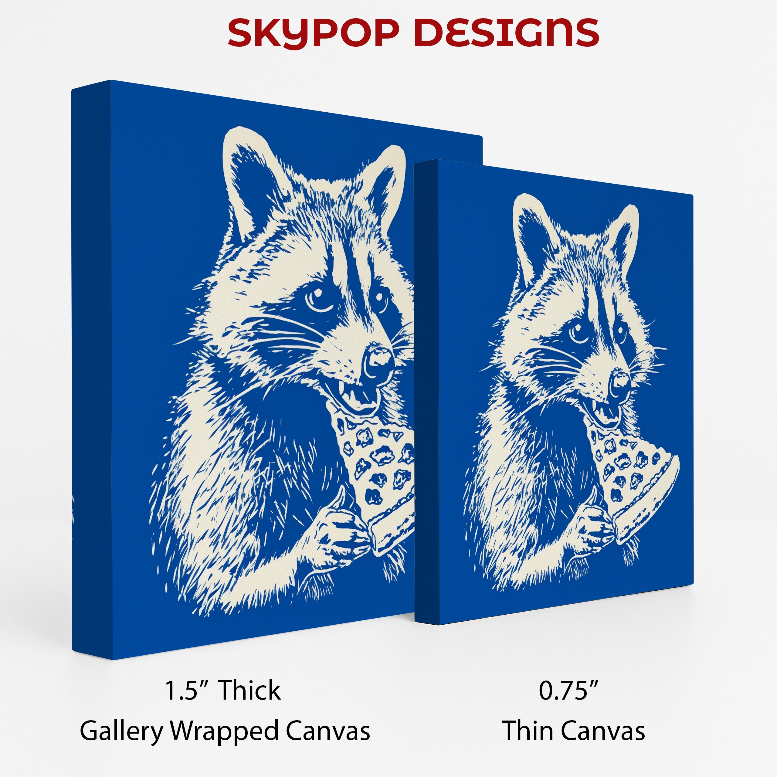 2.jpg Raccoon Art