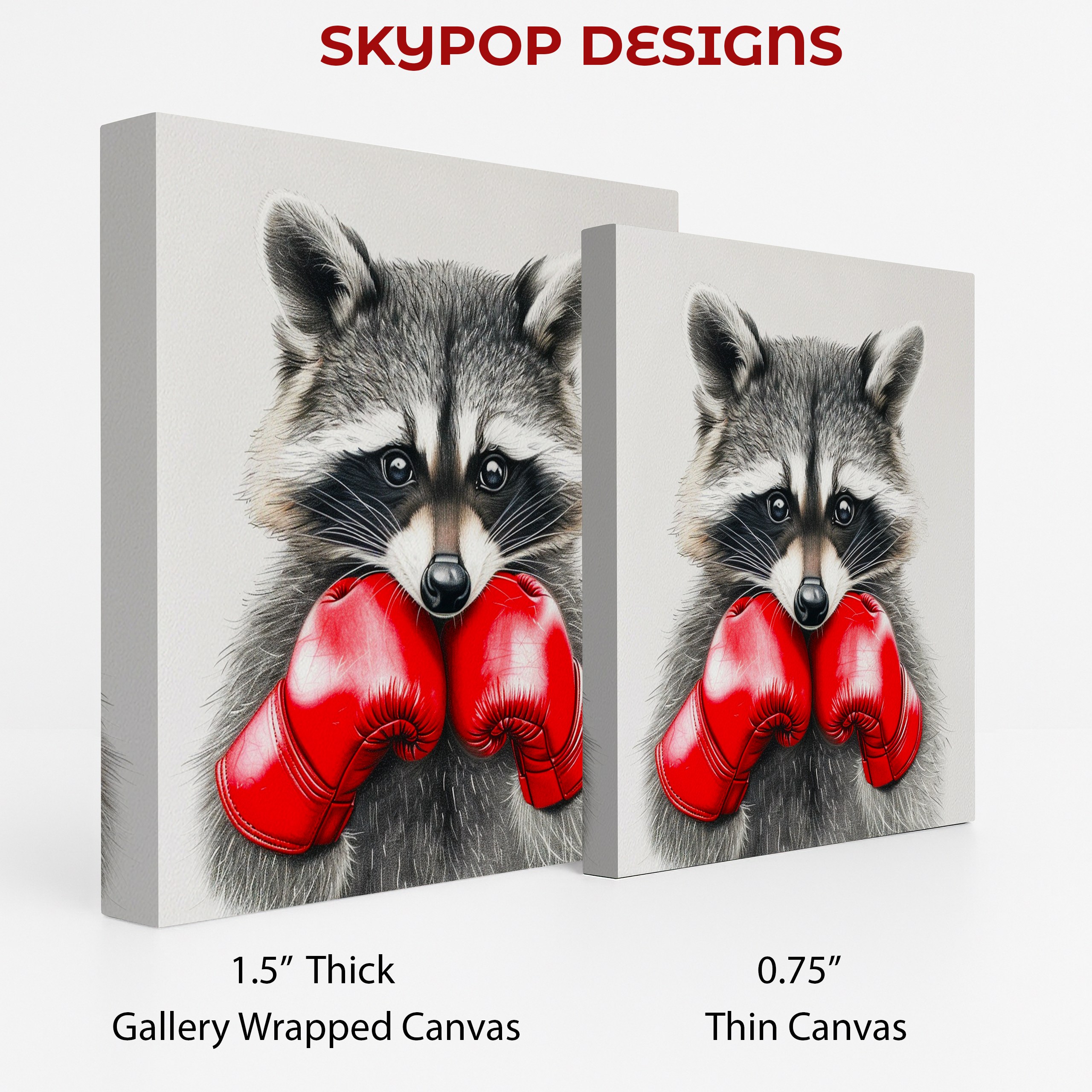 2.jpg Raccoon Art