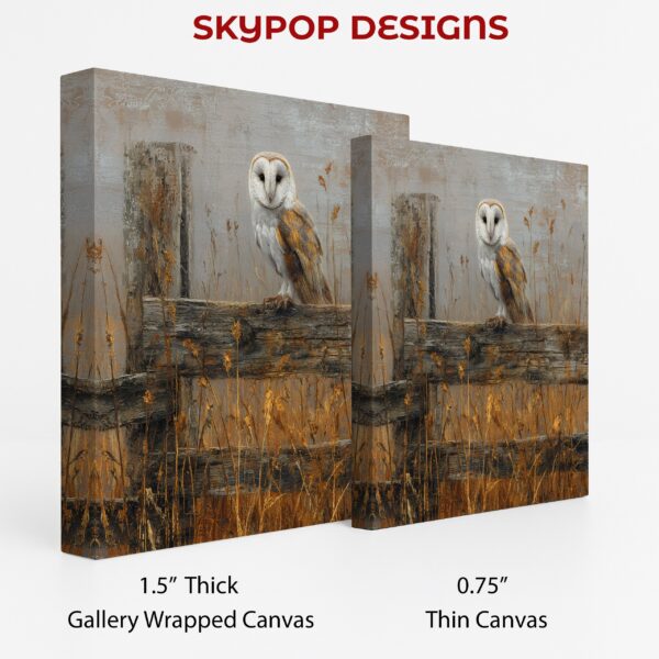 Owl Art
