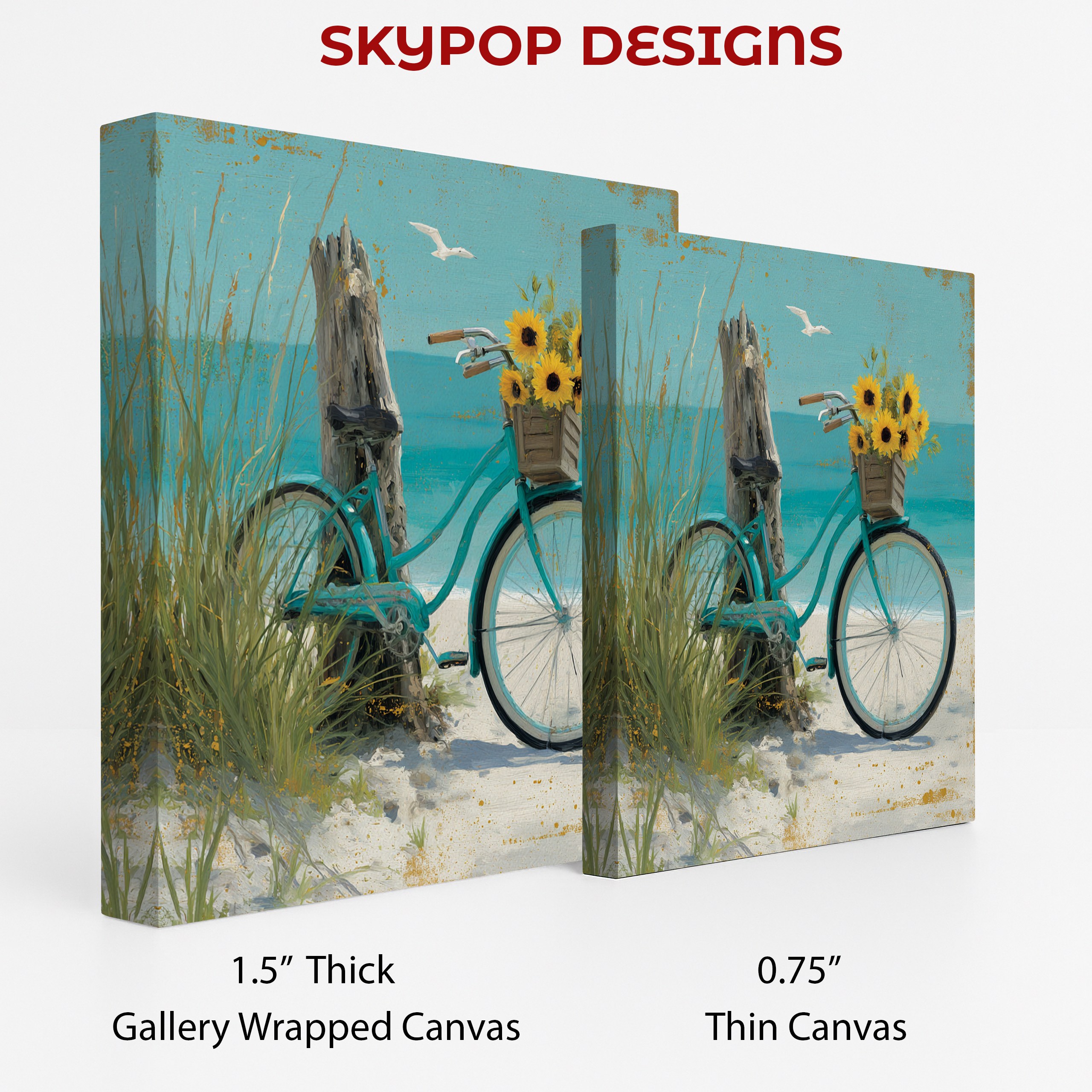2.jpg Seagull Beach Bicycle Art