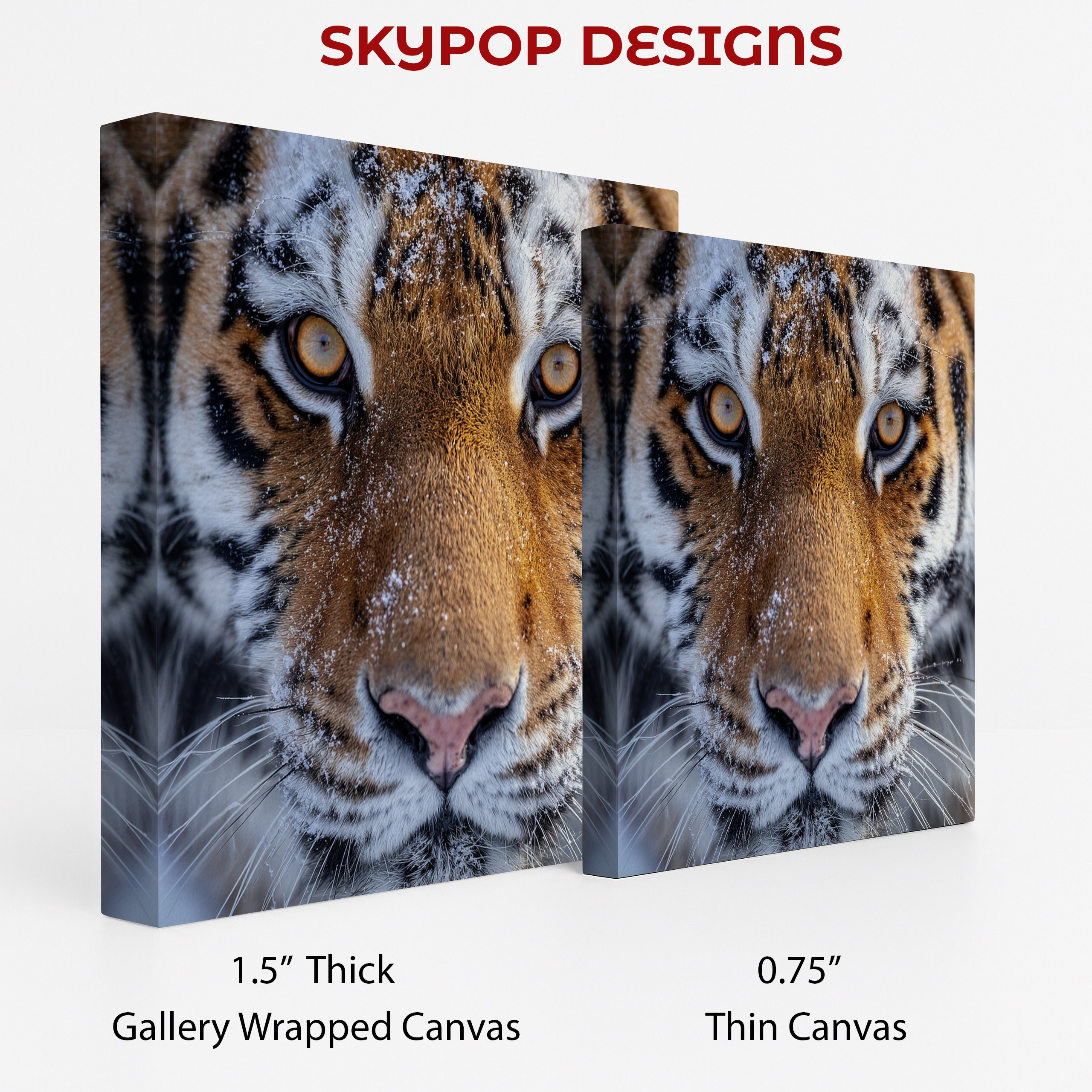 2.jpg Tiger Eyes Art
