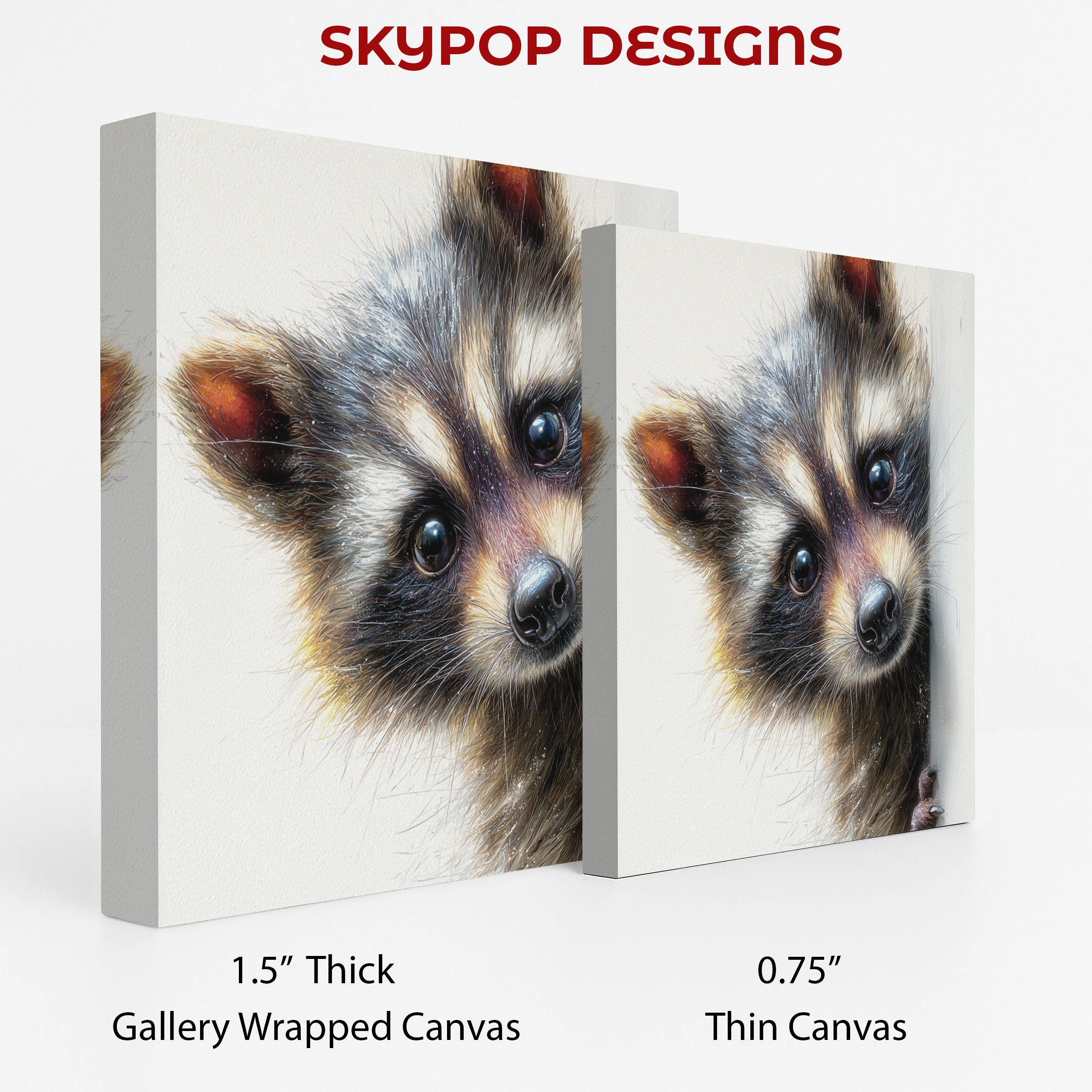 2.jpg Curious Raccoon Art