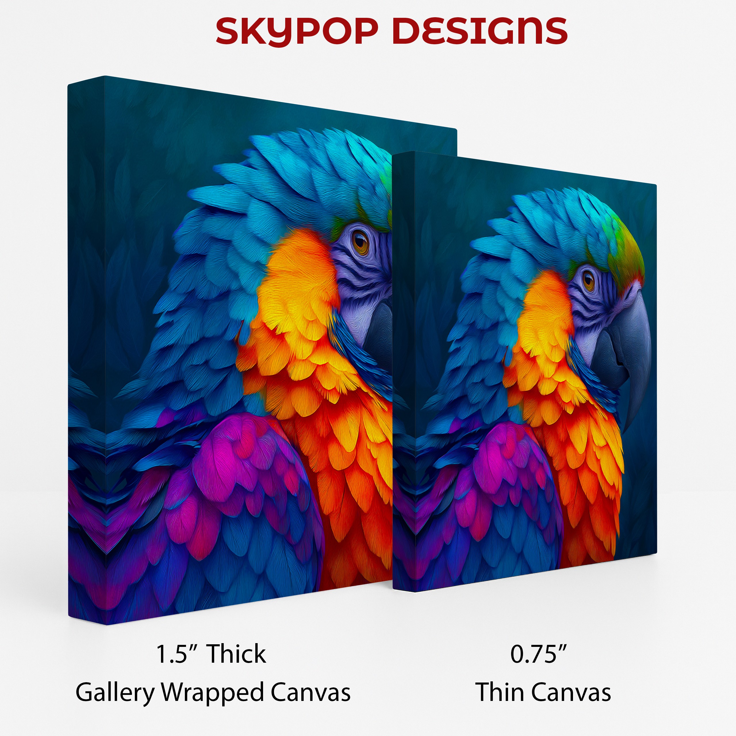 2.jpg Macaw Art