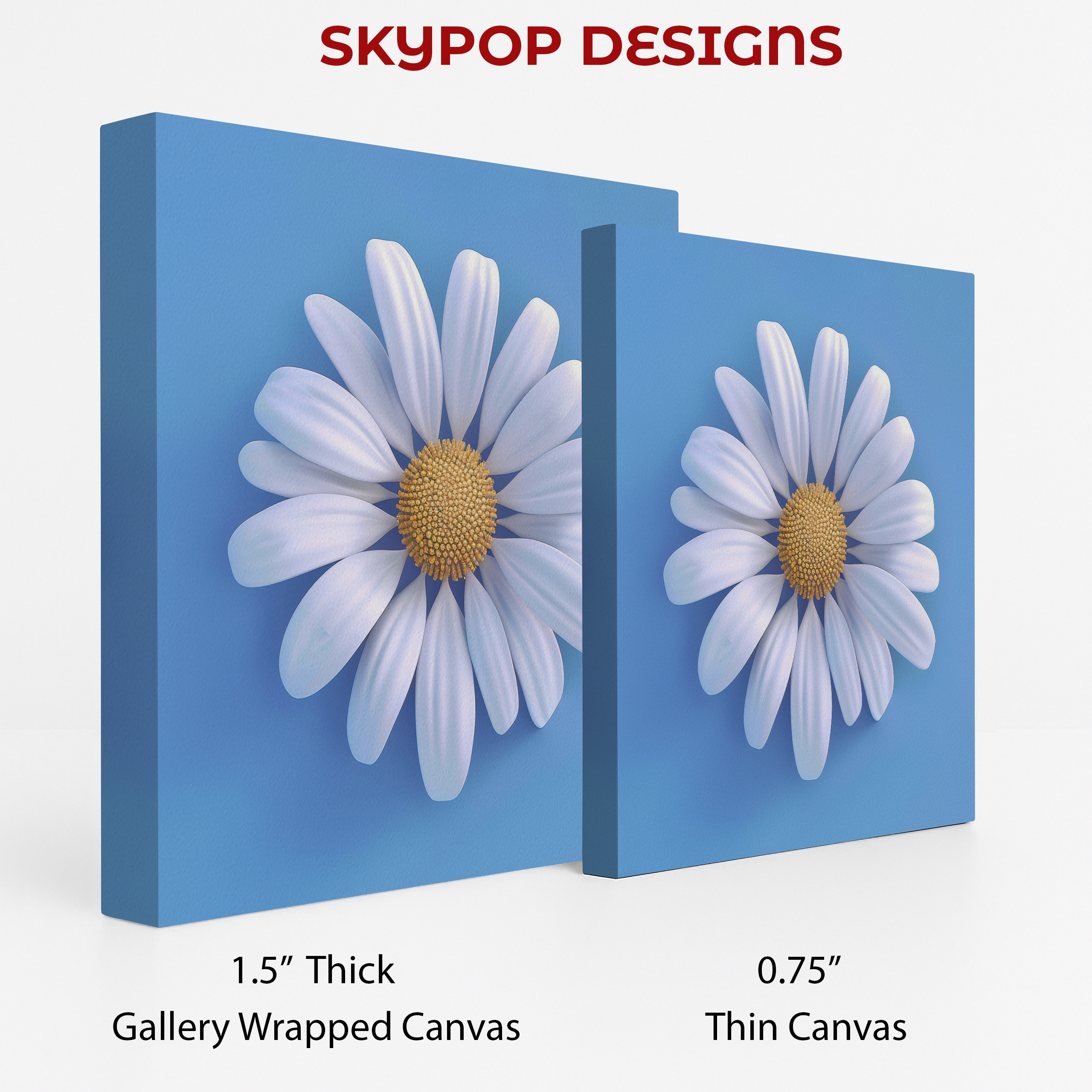 2.jpg Daisy Flower Art