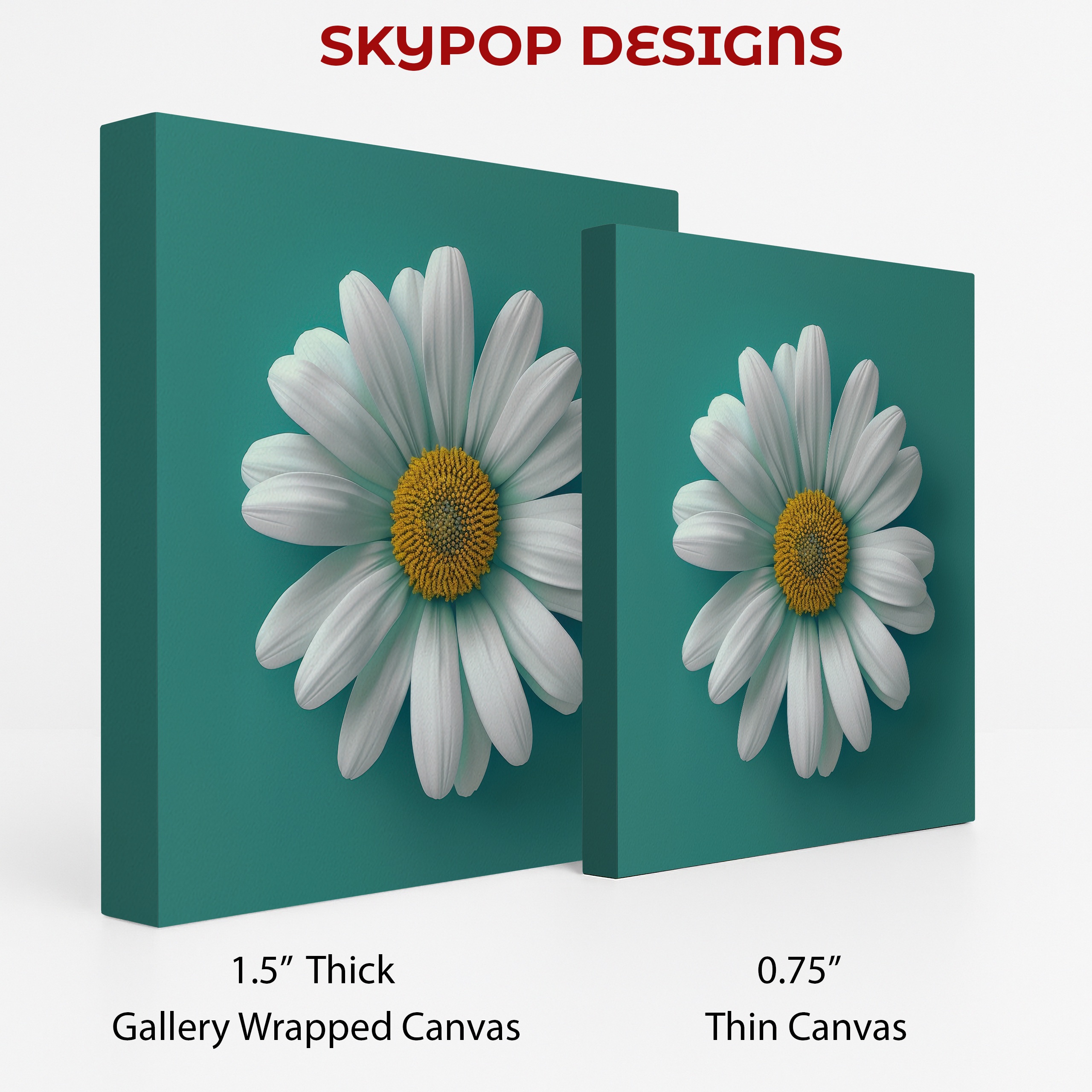 2.jpg Daisy Bloom Art