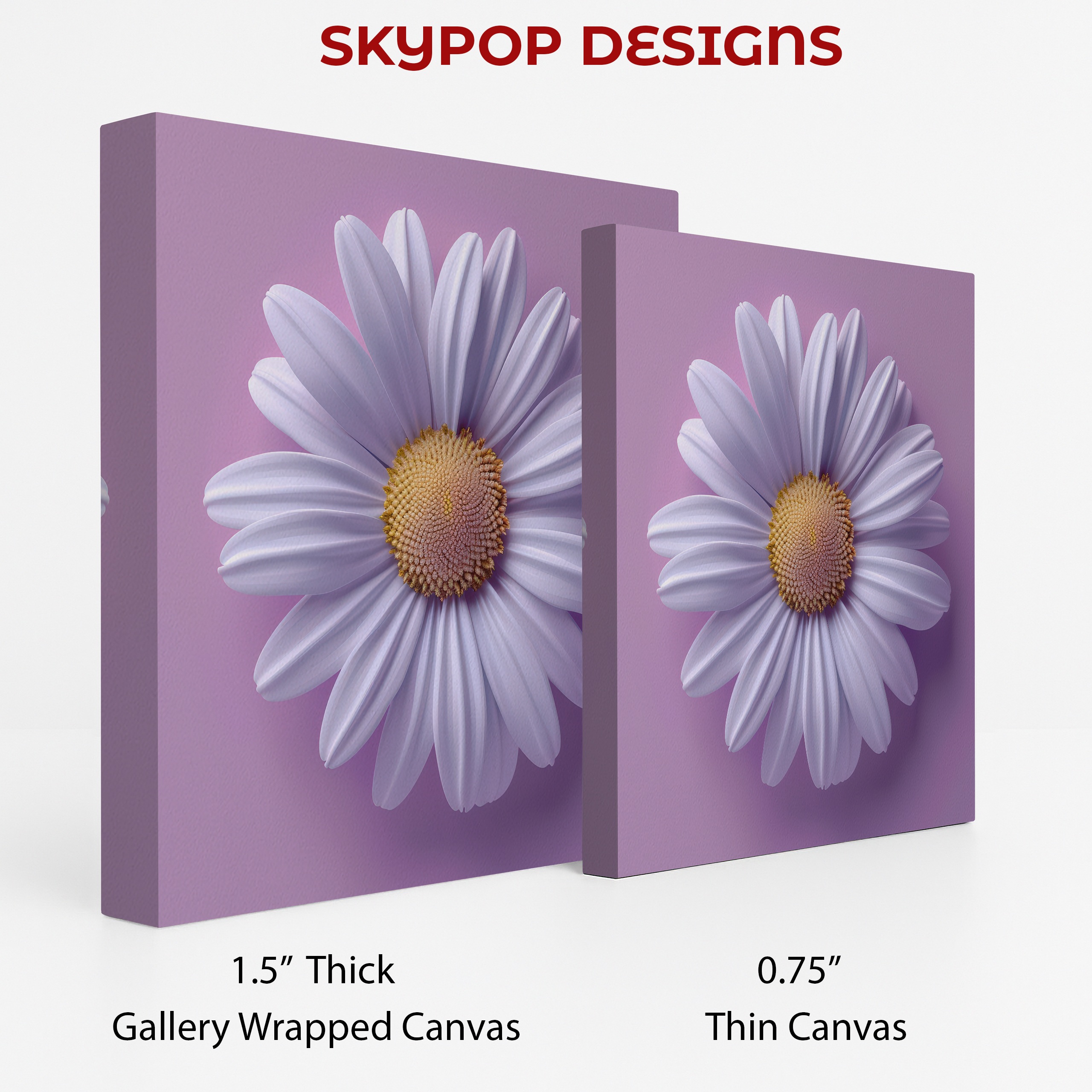 2.jpg Daisy Flower Art