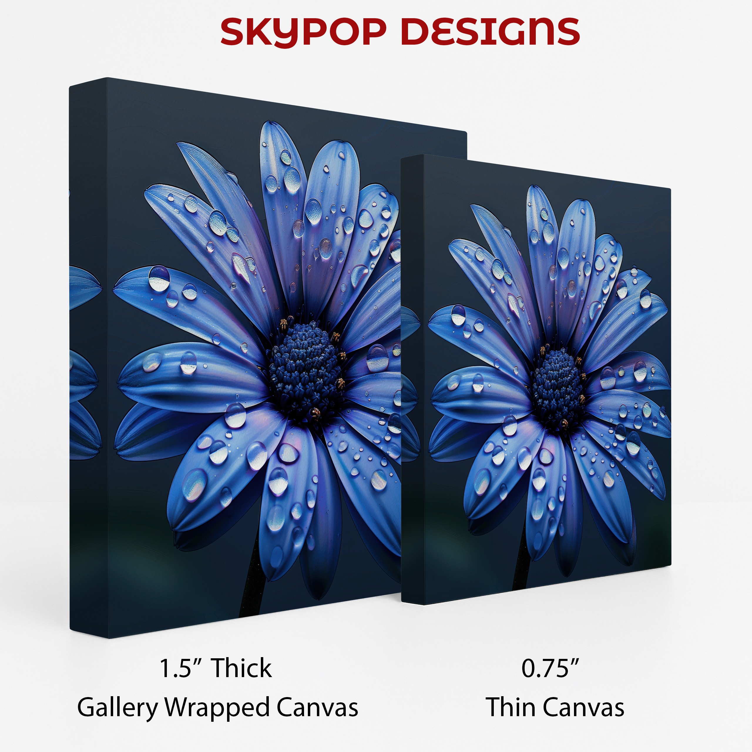 2.jpg Blue Daisy Art