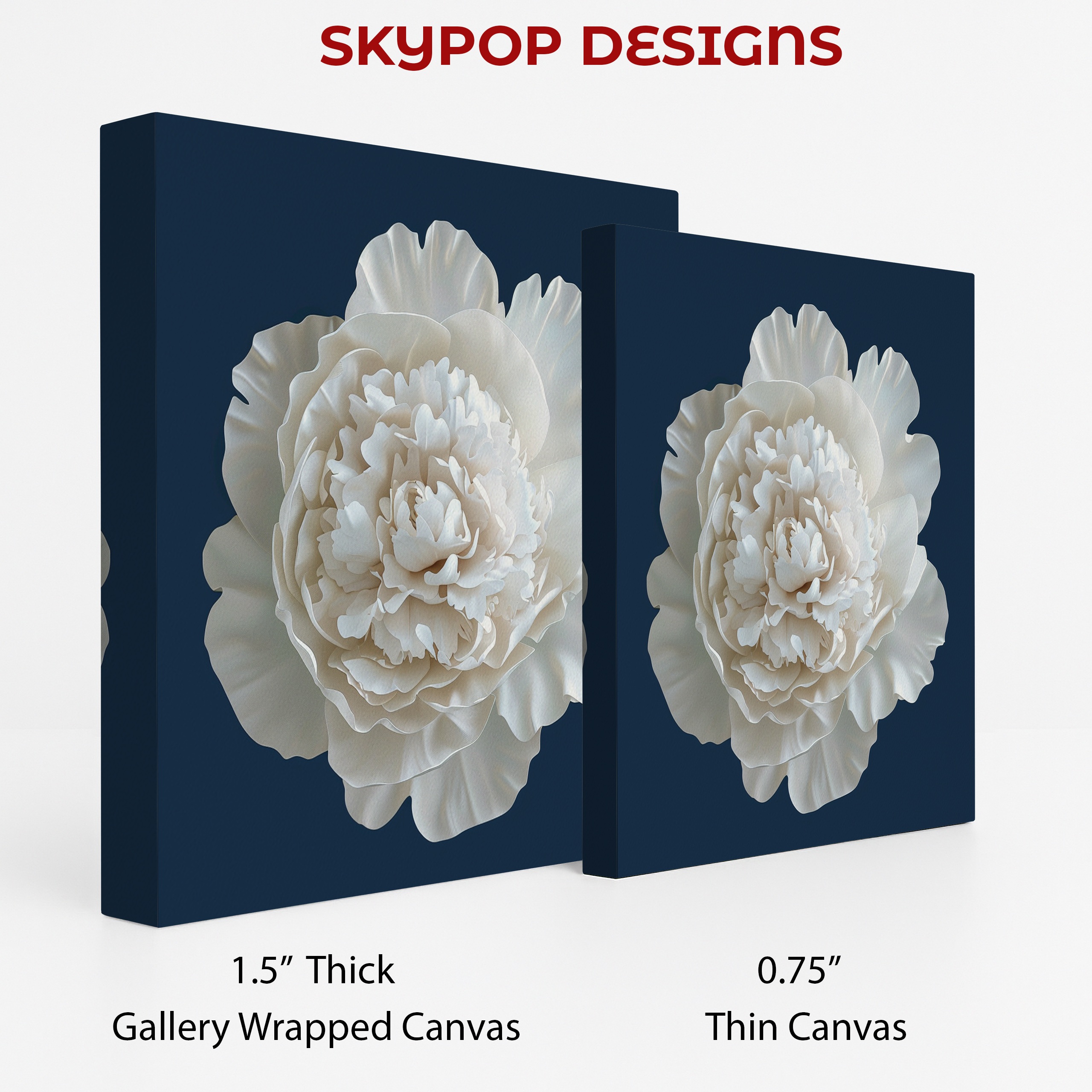 2.jpg White Peony Bloom Art