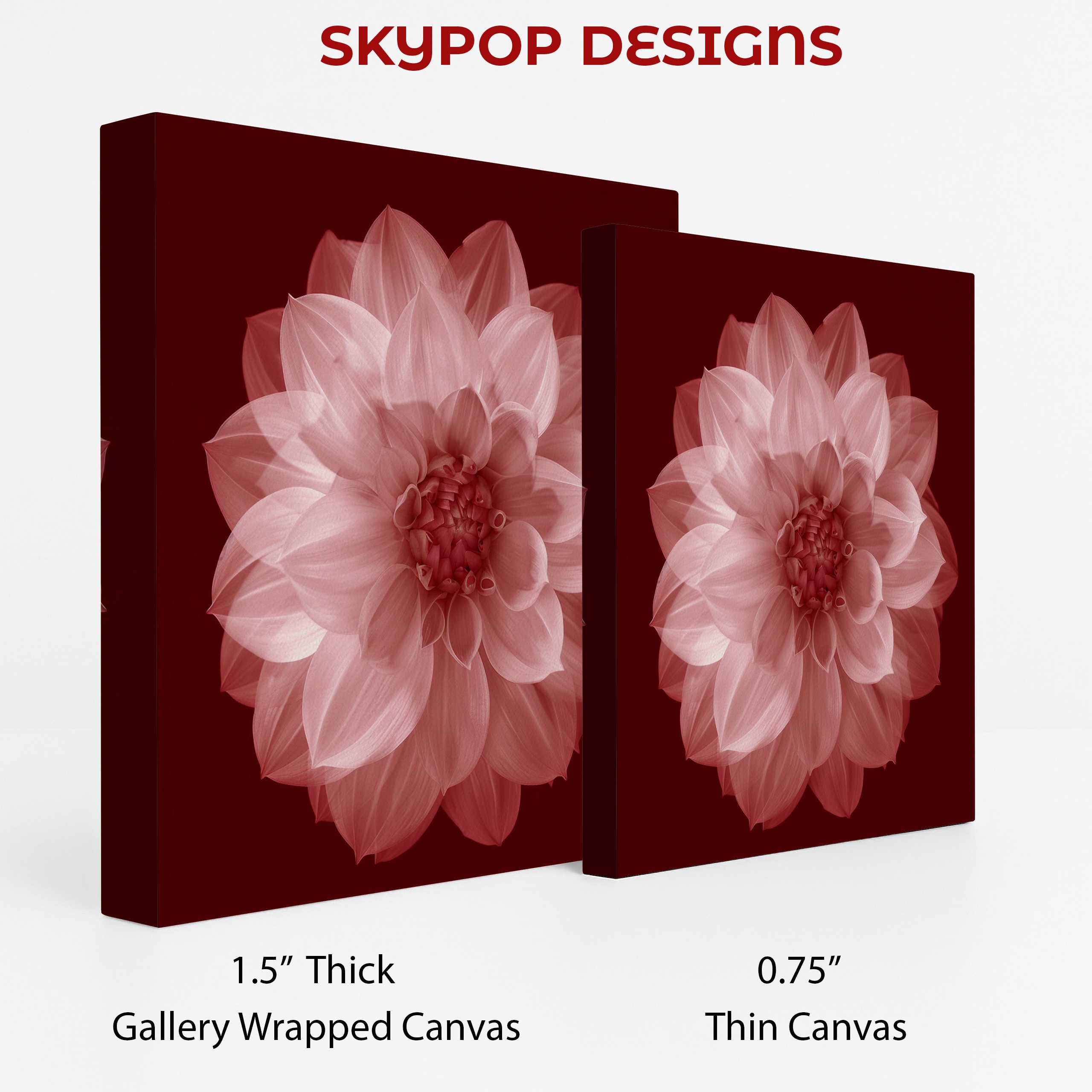2.jpg Dahlia Flower Art