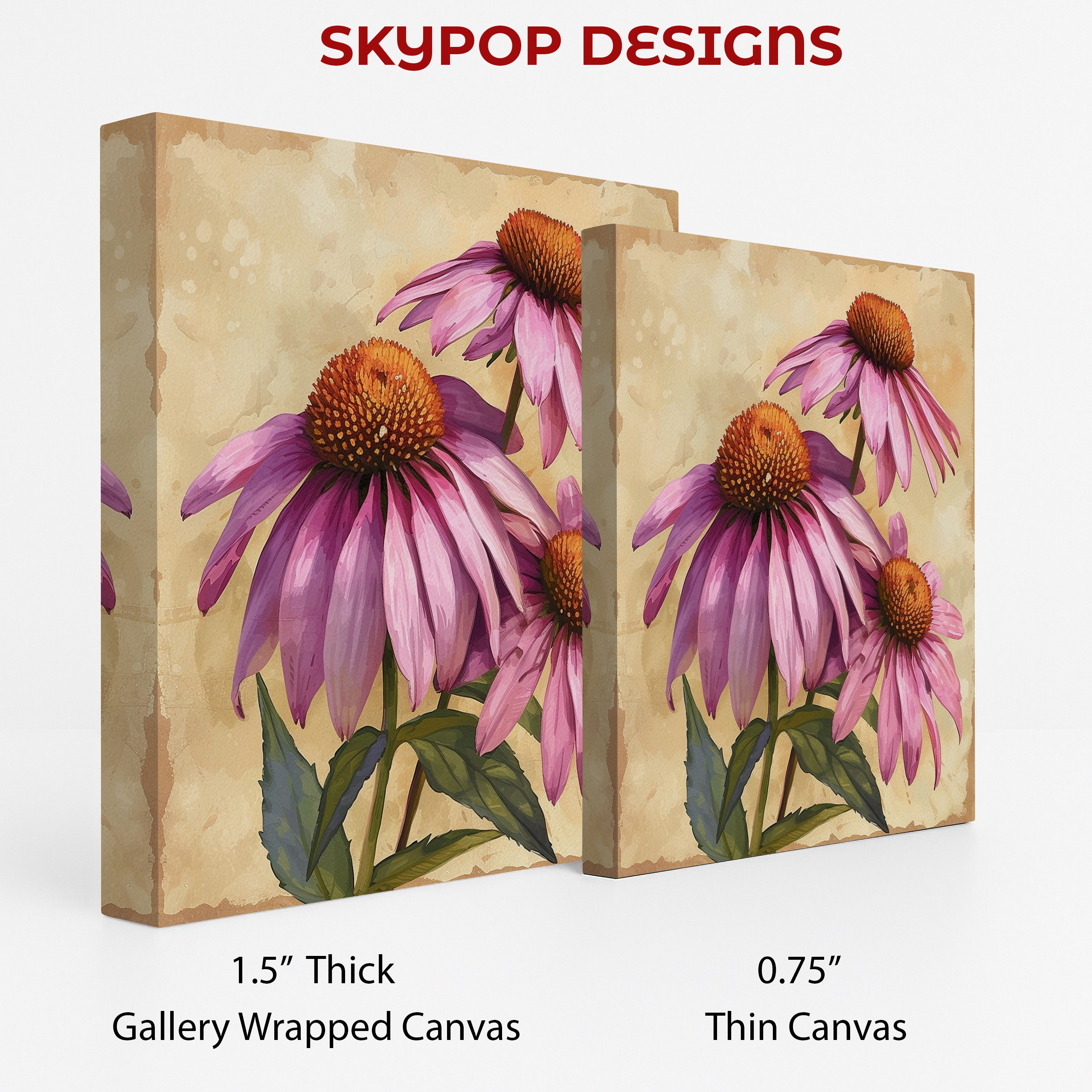 2.jpg Coneflower Art