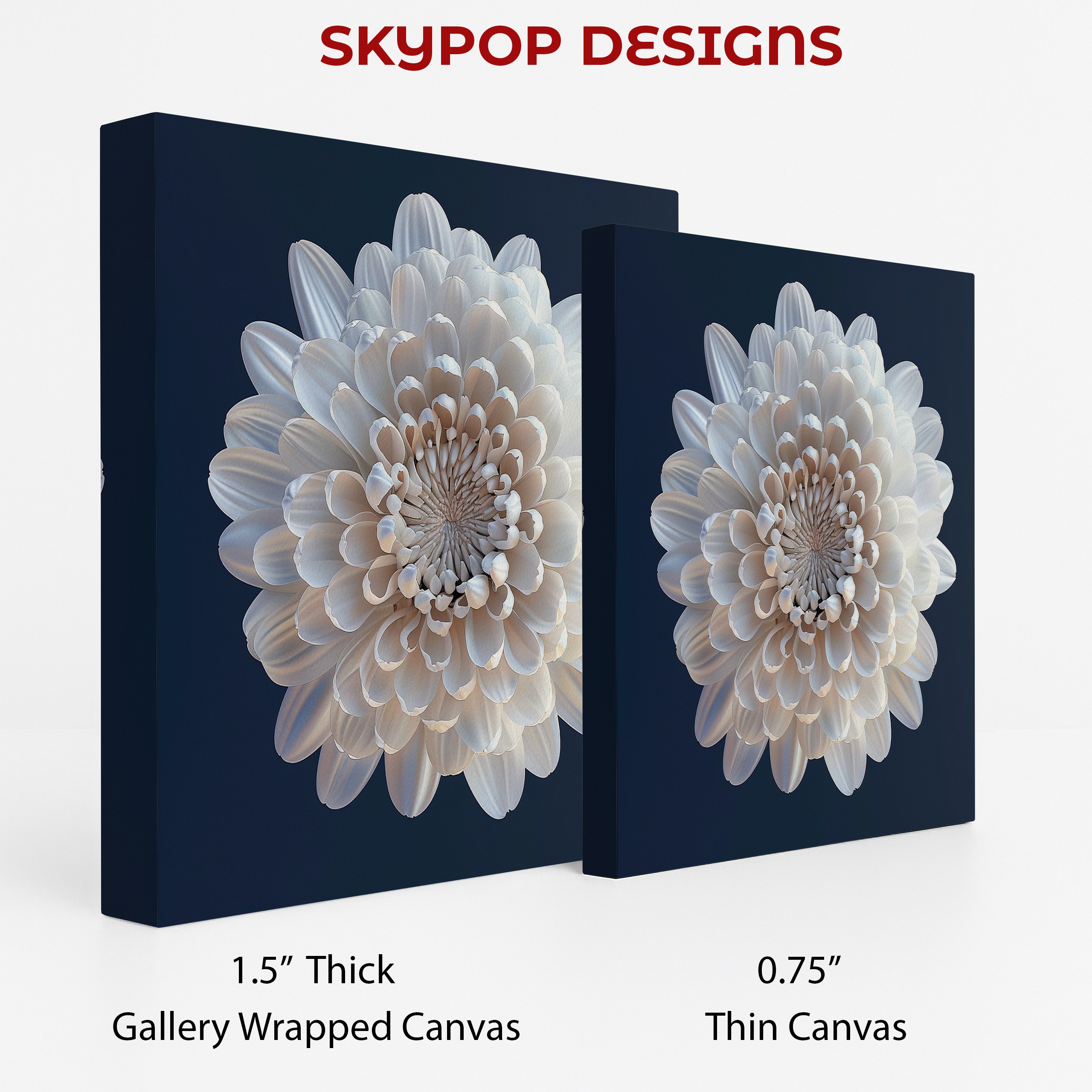 2.jpg White Chrysanthemum Art