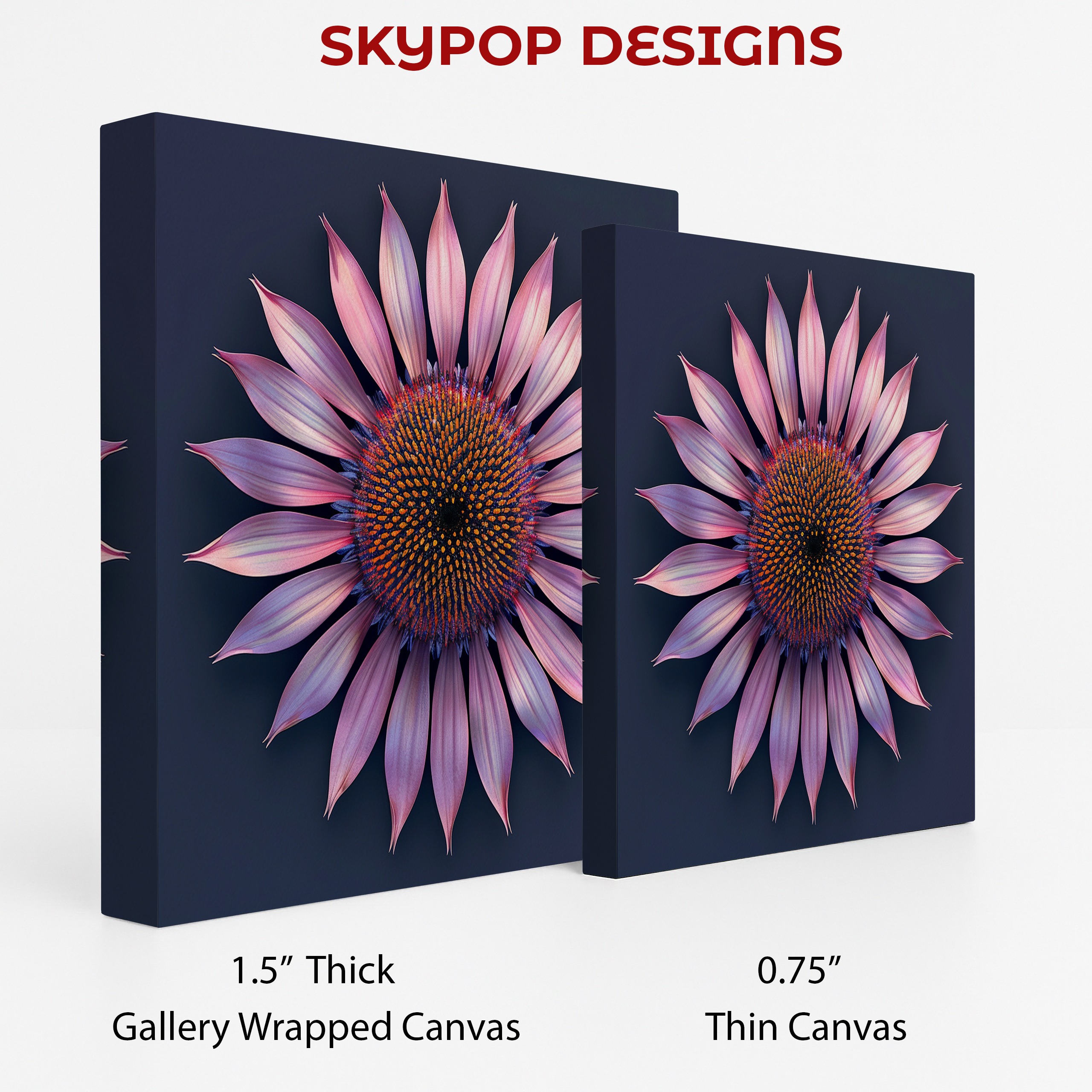 2.jpg Coneflower Art