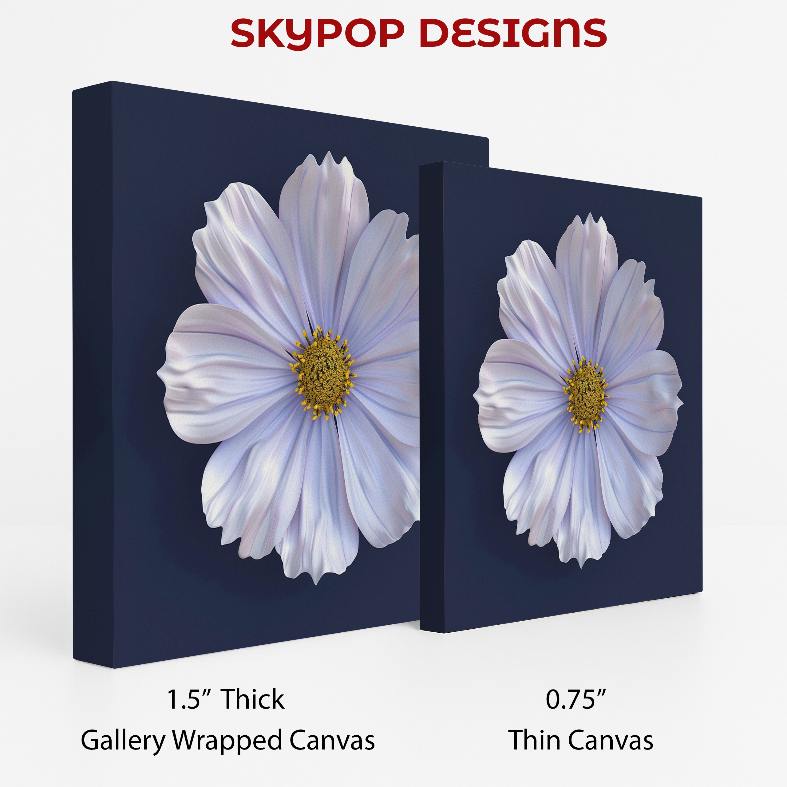 2.jpg Cosmos Flower Art