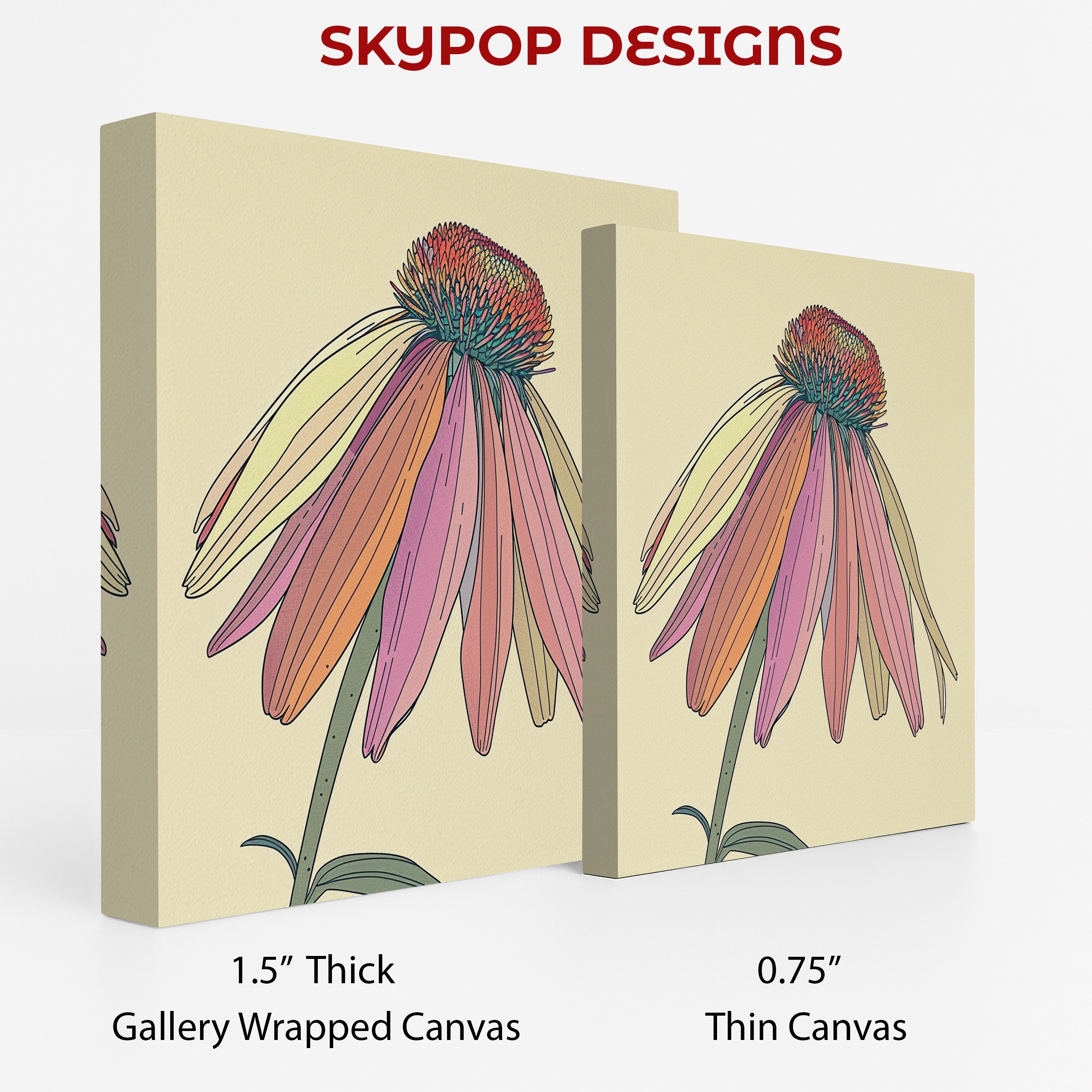 2.jpg Coneflower Art