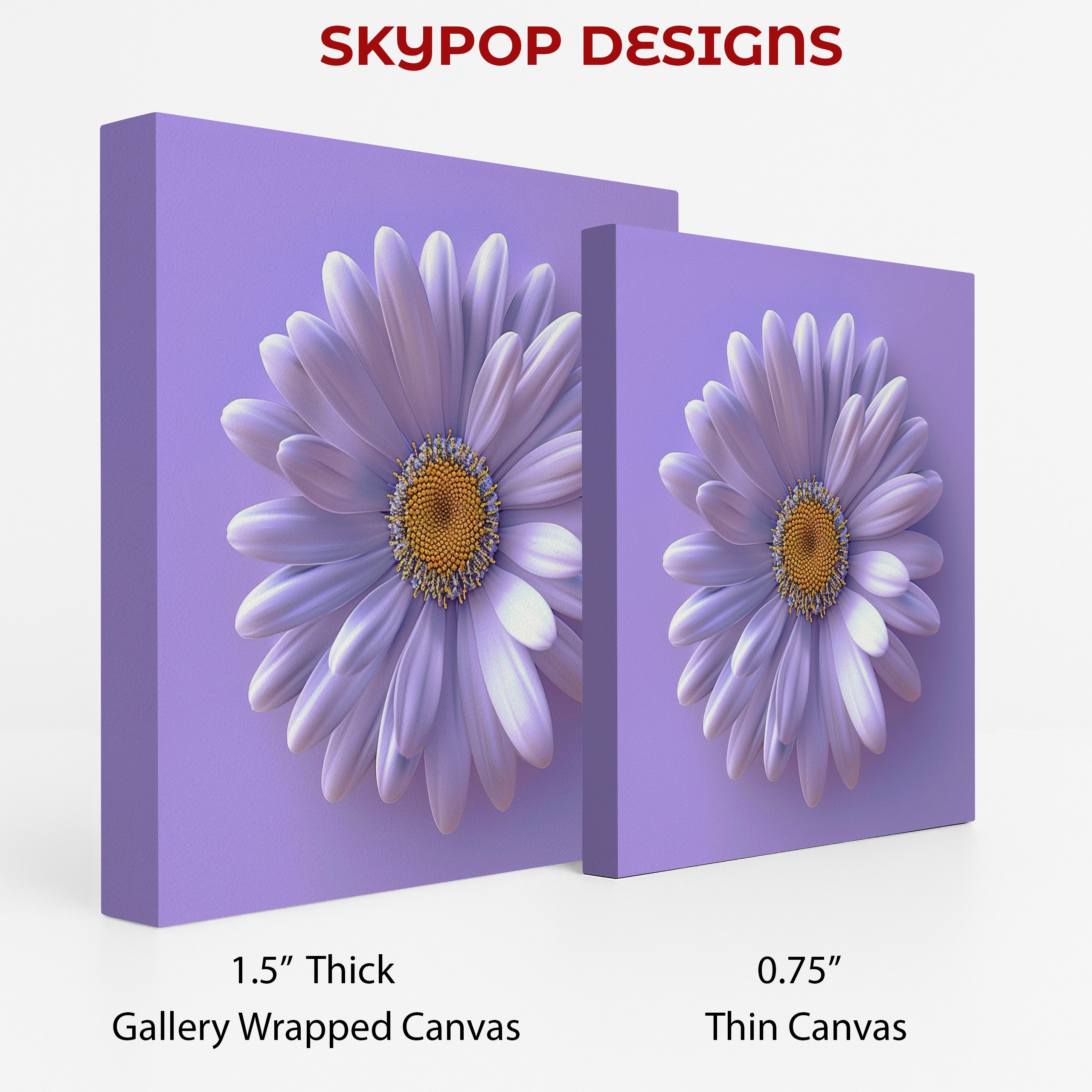 2.jpg Daisy Flower Art