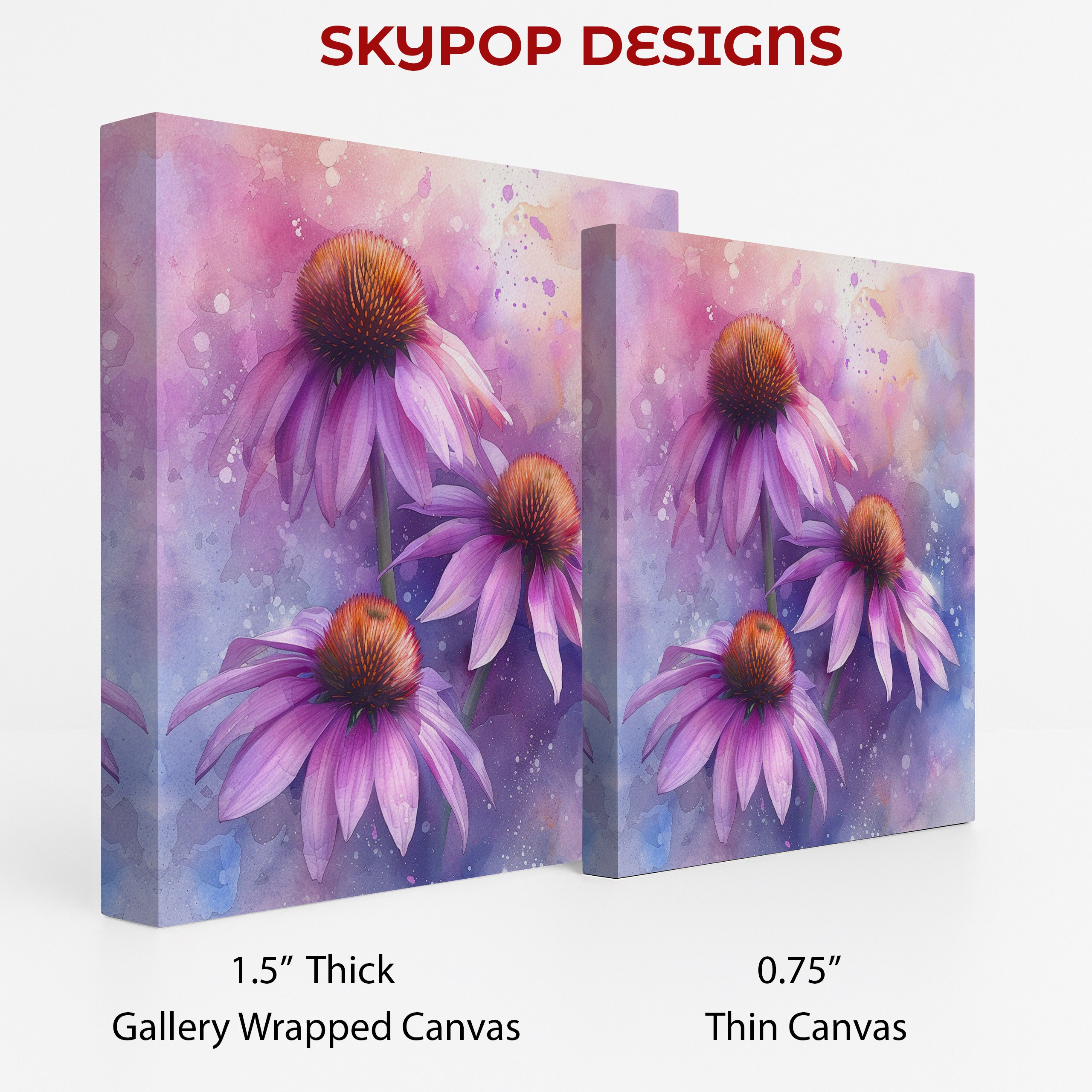2.jpg Coneflower Blooms Art
