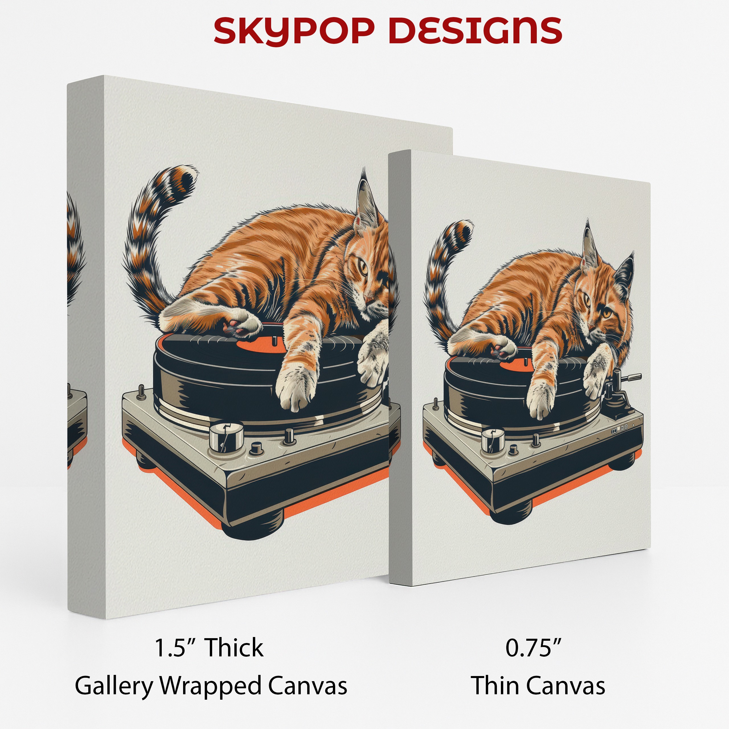 2.jpg Cat DJ Vinyl Art