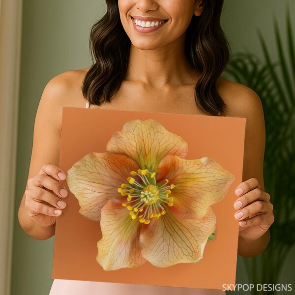 Hellebore Art