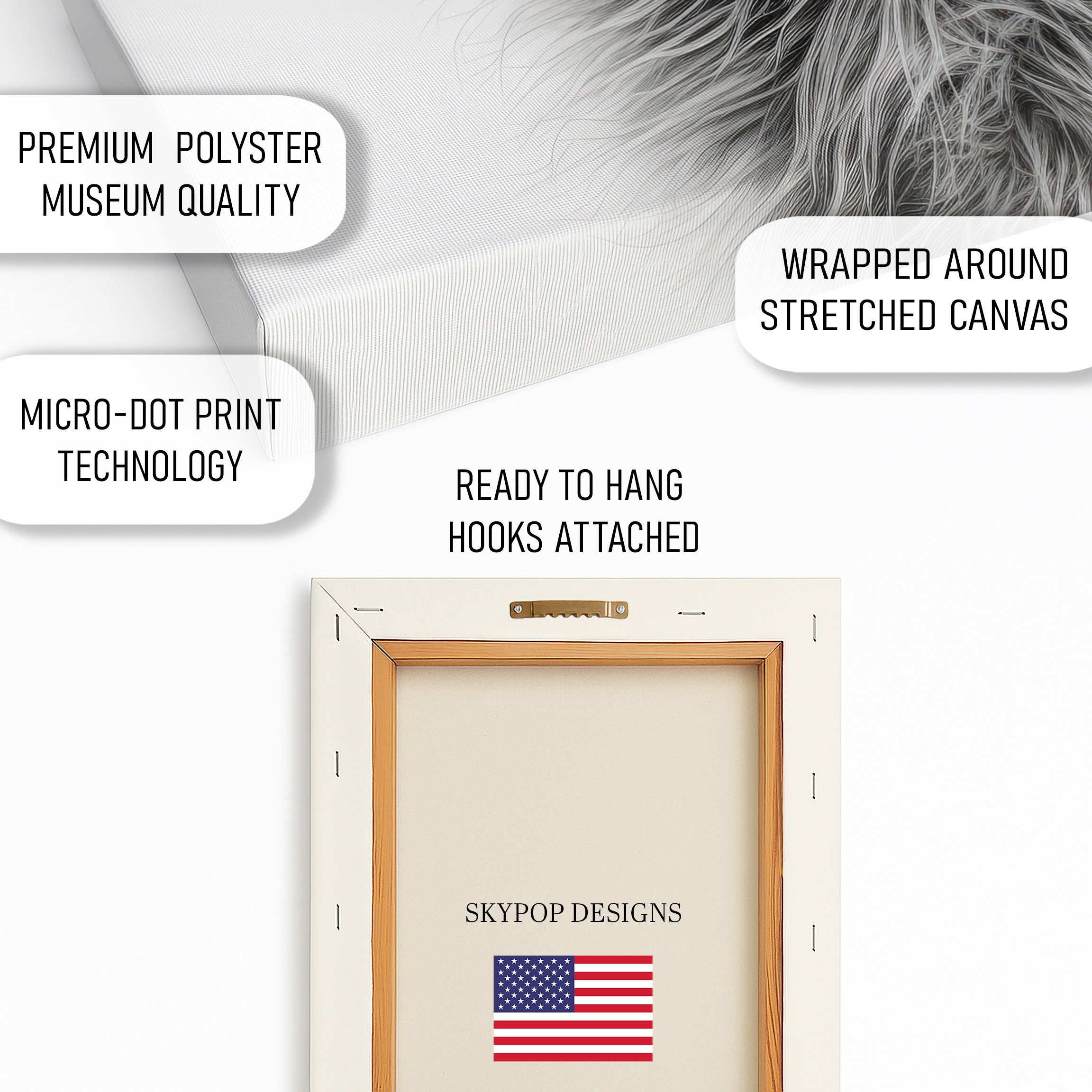 4.jpg Raccoon Art