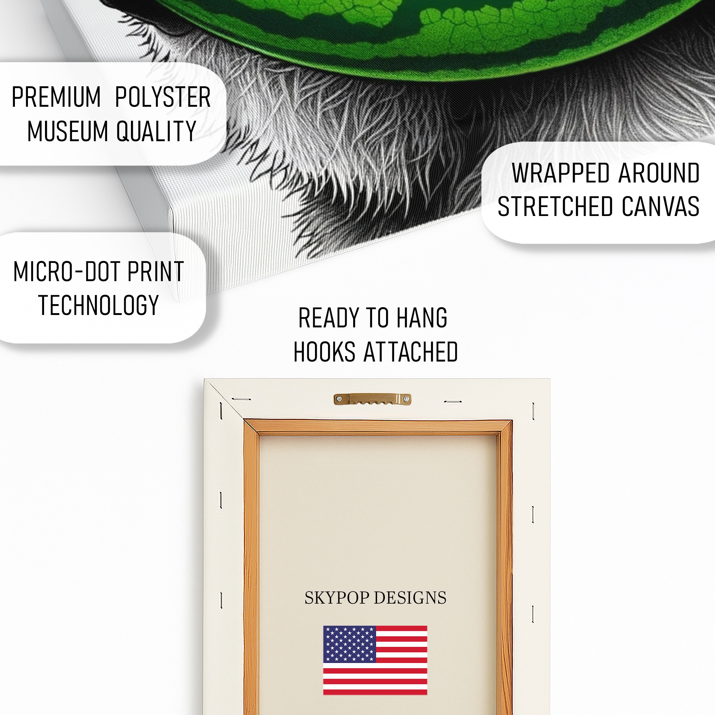 4.jpg Raccoon Watermelon Art